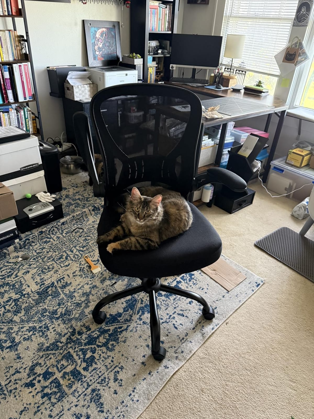 Youhauchair Adjustable Mesh Ergonomic Office Chair with Wheels, Black | Flip-up Arms, Lumbar Support, Home Desk Chair, Height Adjustable, Breathable, Mid Back Swivel Compurter Chair, Set of 1 customer photo 2