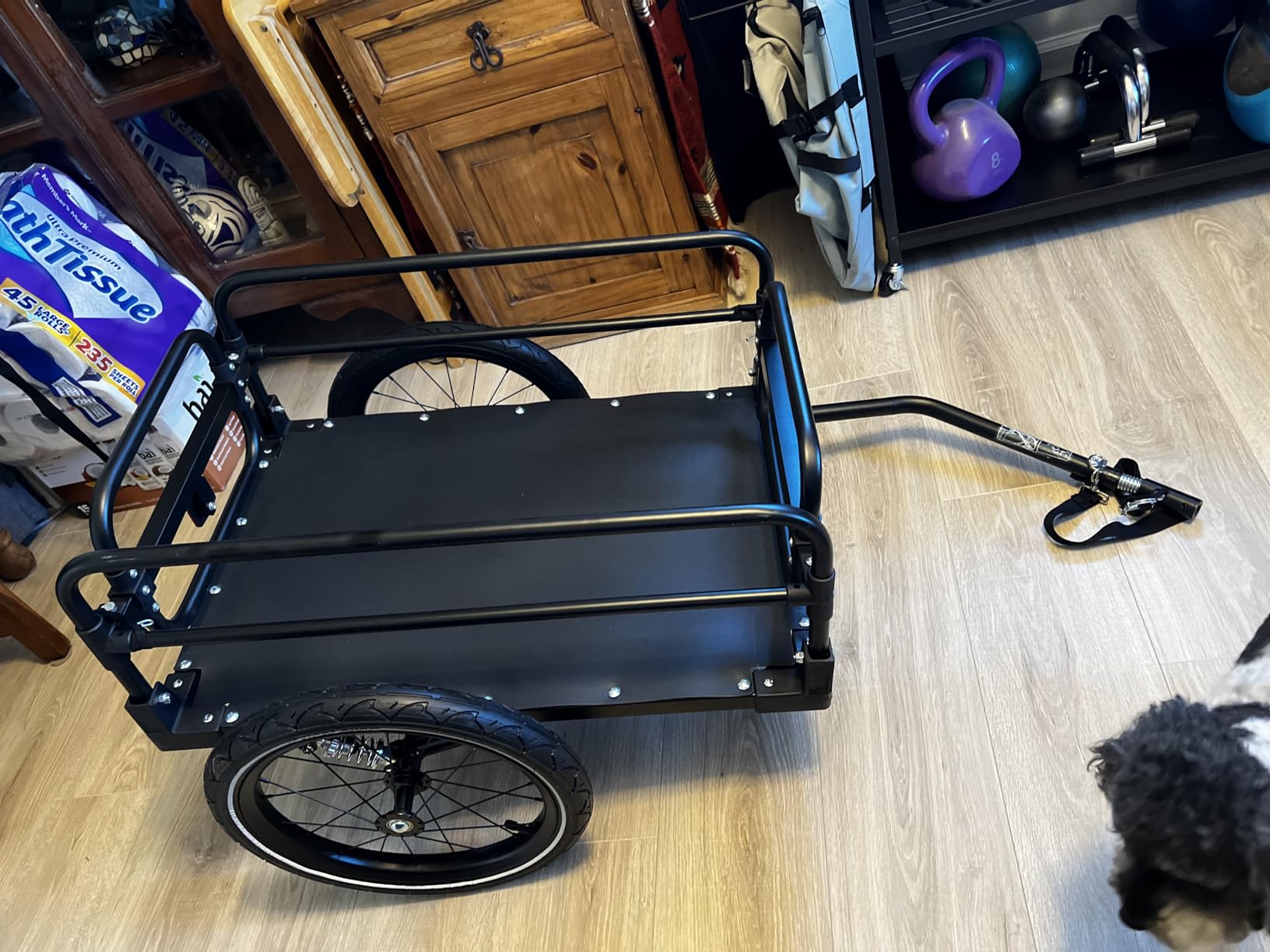 Aosom Bike Cargo Trailer with Suspension, 16'' Wheels, 88 lbs Max Load customer photo 2