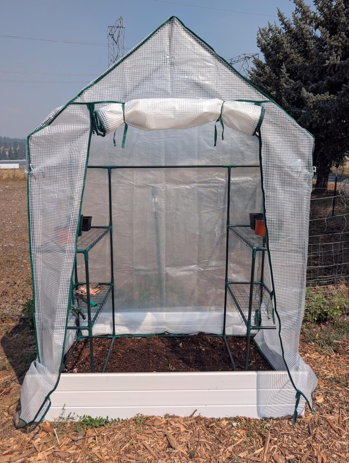 56x55x78 Walk-in Greenhouse for Outdoors, 3-Tier Plant House with 8 Shelves | 8 Shelves, Two Mesh Windows, Roll-Up Door, PE Cover, 16mm Steel Frame, Stakes and Ropes for Seedlings and Seasonal Protection customer photo 1