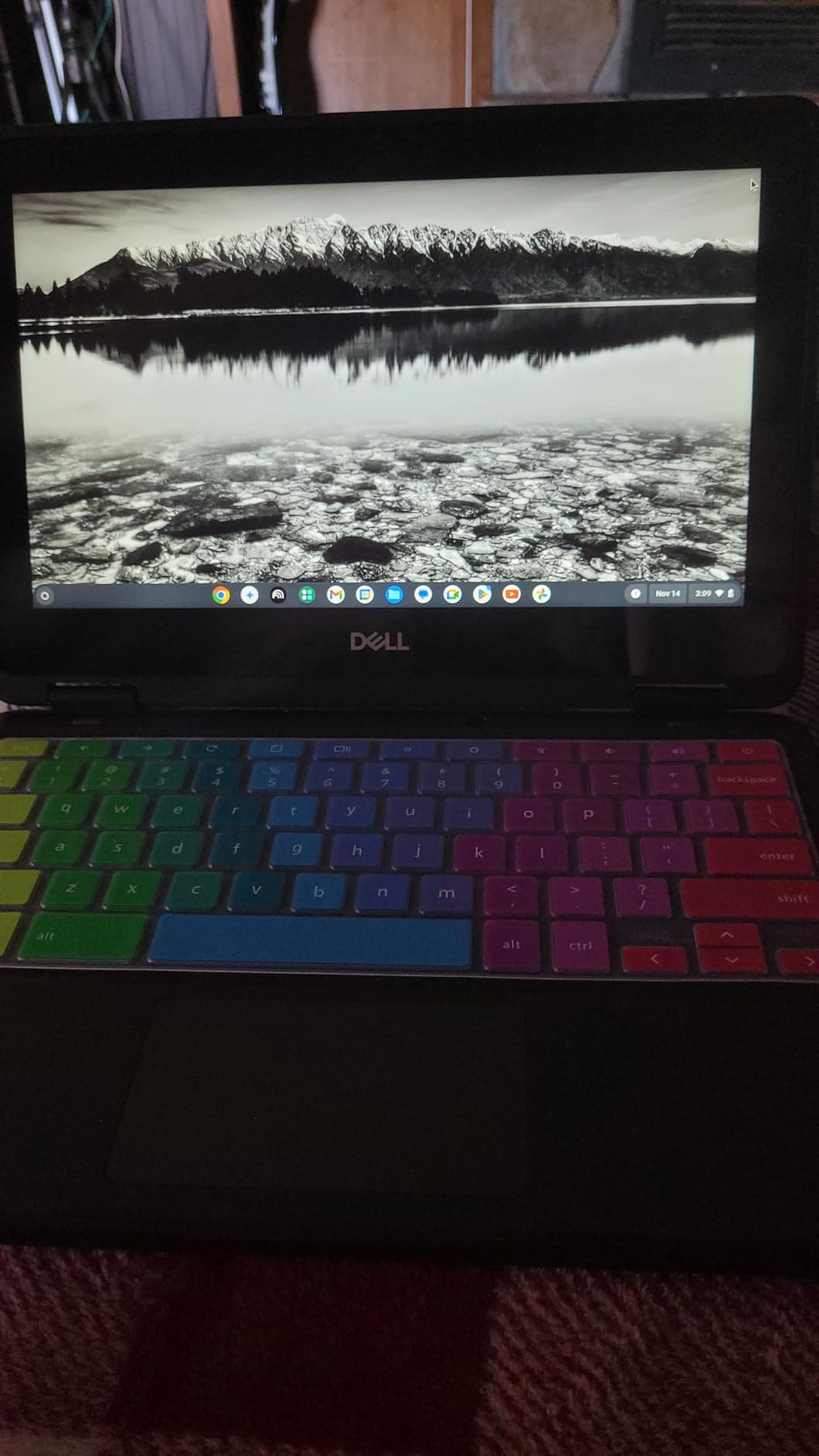 Dell Chromebook 11 3100 11.6