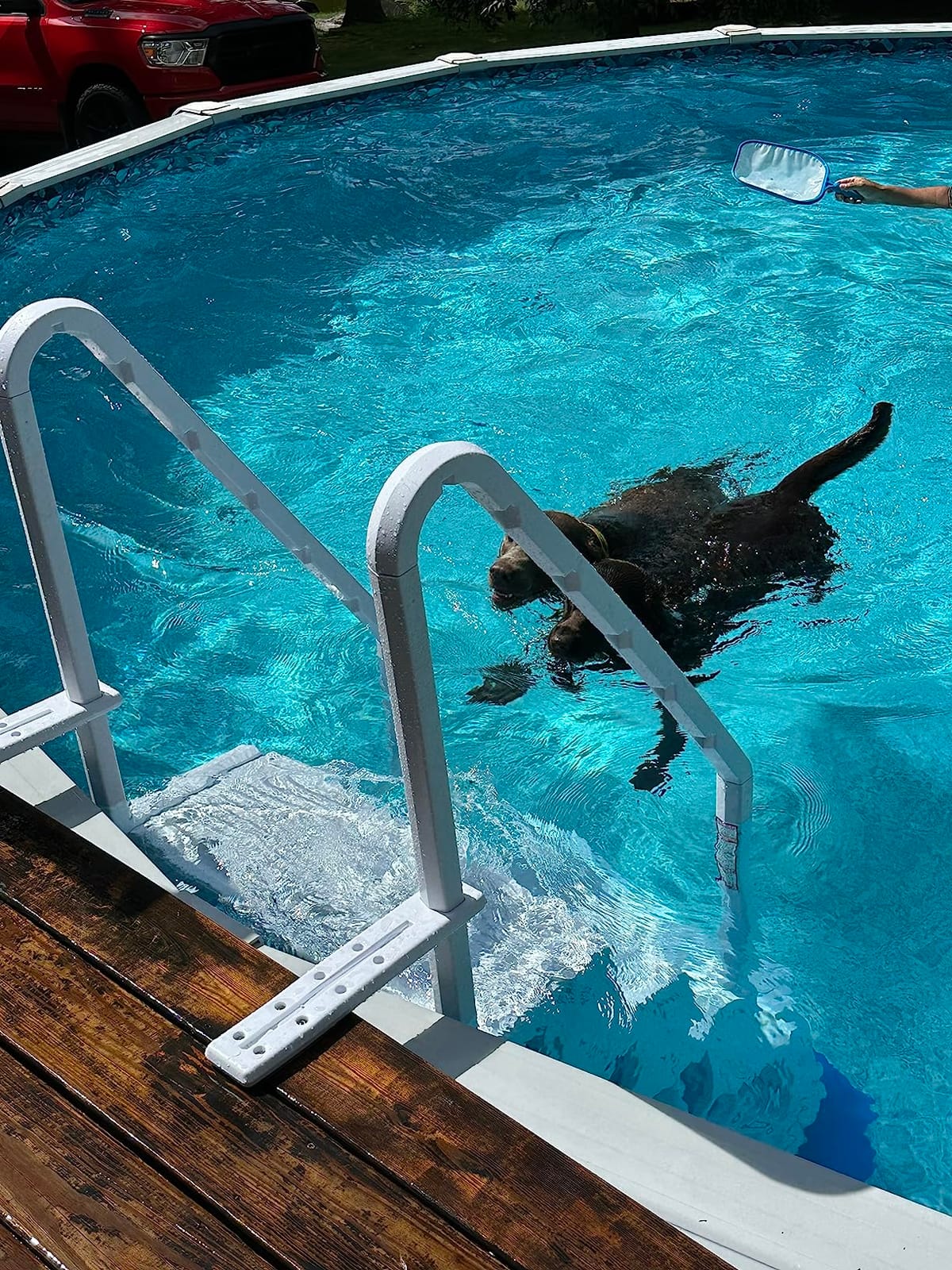 Aqua Select Everest in Pool Steps | White | for Above Ground Swimming Pools | Mount to Decks 48 to 54 Inches | Safety Stairs Capacity Up to 350 Pounds customer photo 1