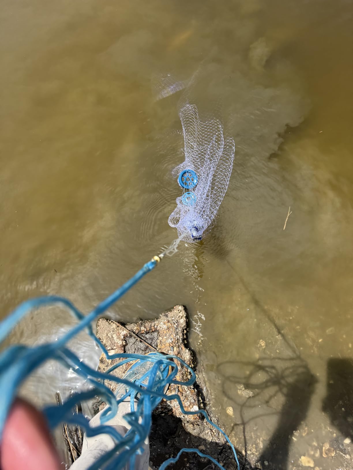 Cast Net for Bait Trap Fish,1/2 Inch Mesh Size customer photo 2