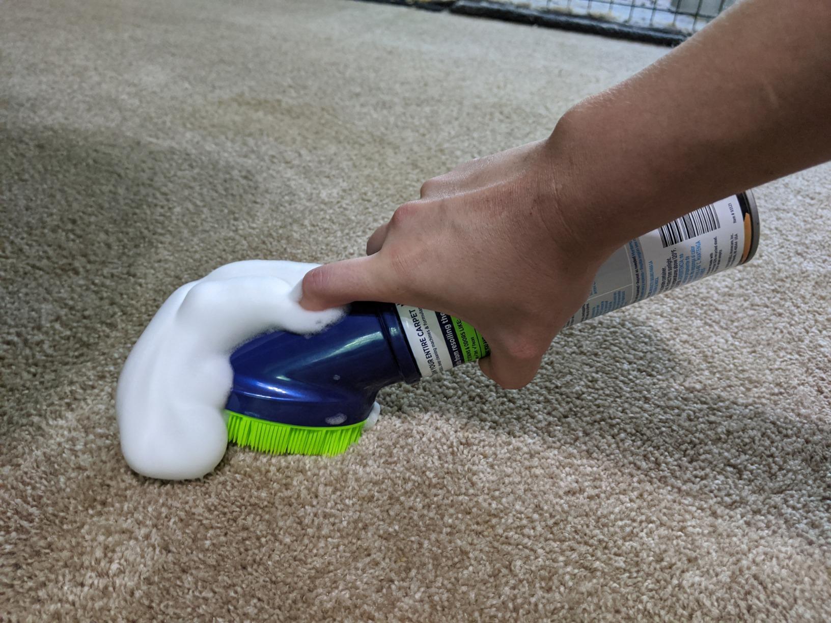 BISSELL Spotlifter Pet Carpet and Upholstery Cleaner with Brush Head - 4 Pack, 93523 customer photo 1