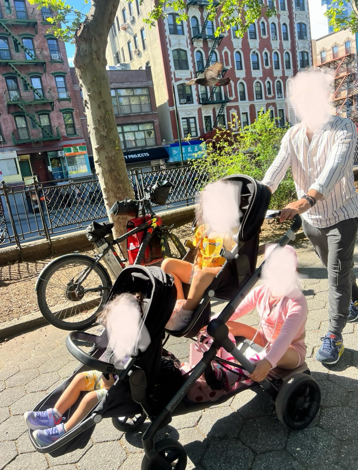 Evenflo Pivot Xpand Modular Stroller (Ayrshire Black) customer photo 2