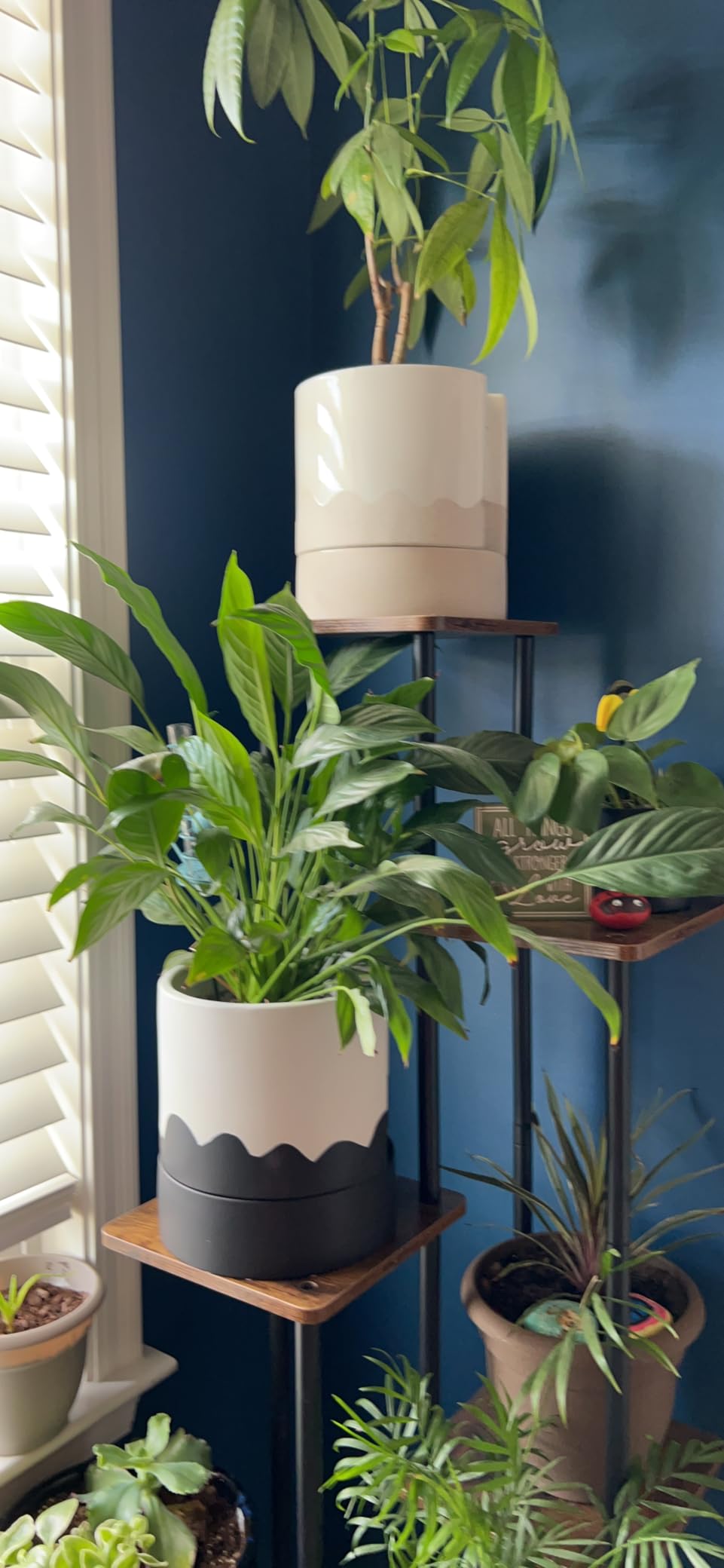 Nihow Ceramic Self Watering Plant Pot for Indoor Plants, 6 Inch, Cream White | Planter with Cotton Wick, Drainage Hole & Water Storage Plus, Cylinder Round Flower Pot, For Succulent/Herbs/Violets customer photo 1