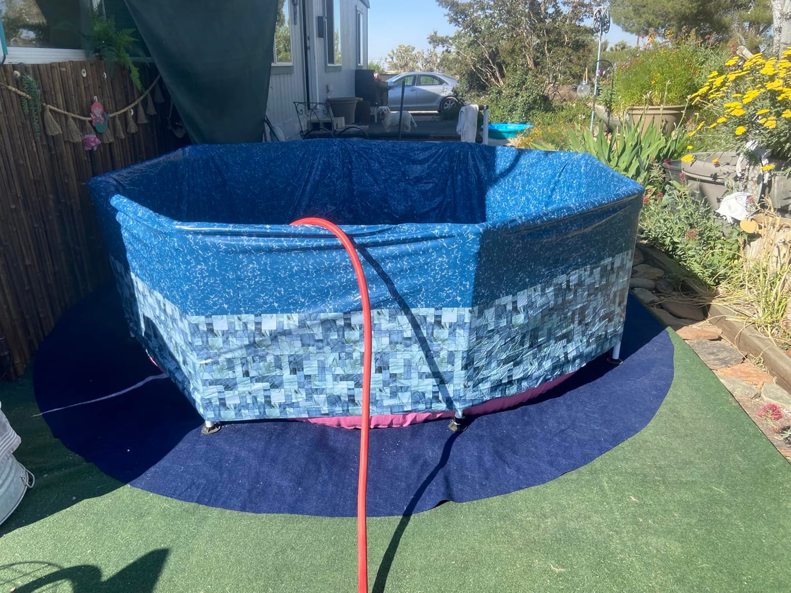 INTEX Metal Frame 8ft x 30in Round Above Ground Swimming Pool, Pink customer photo 1