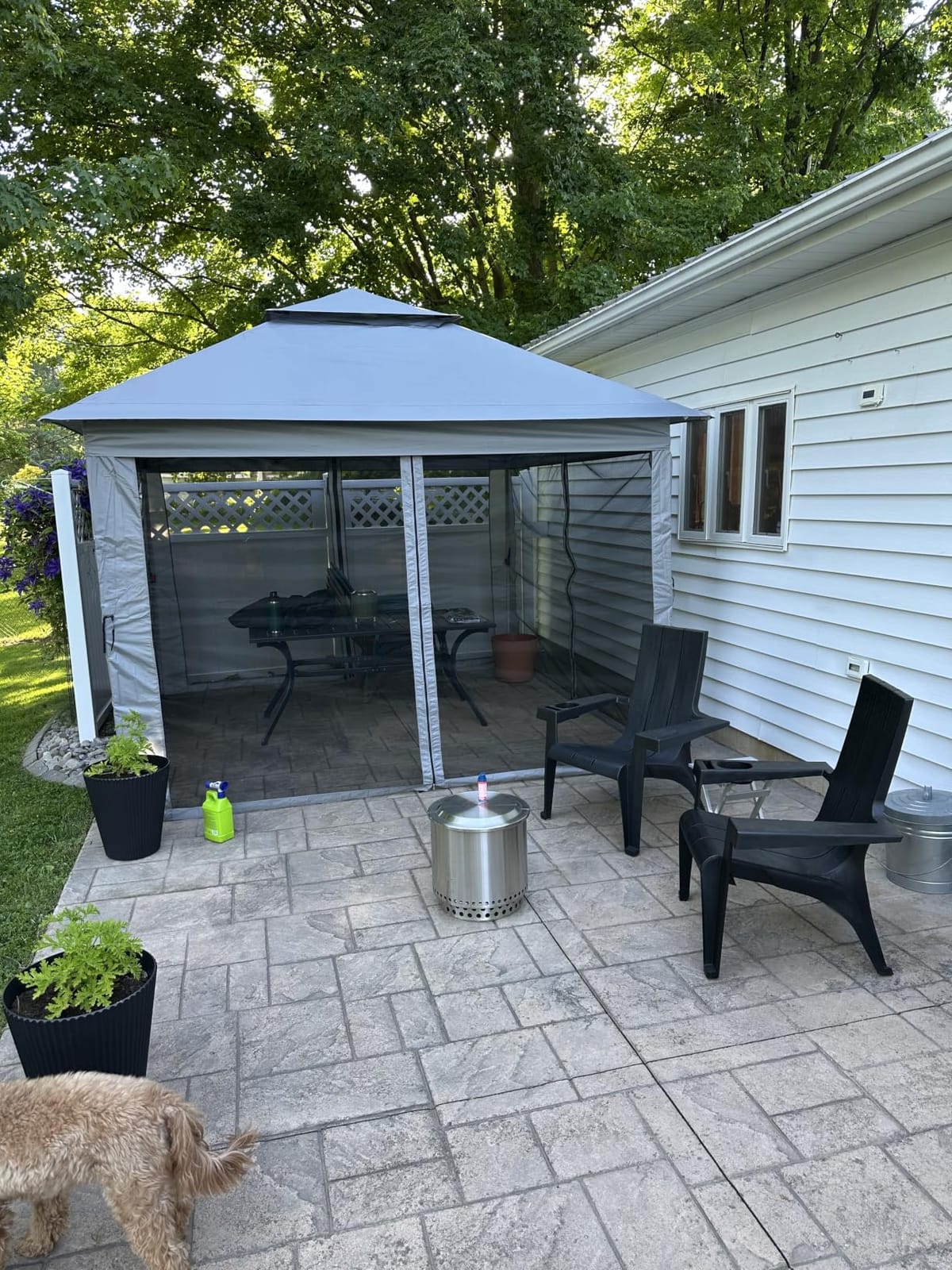 CROWN SHADES 11x11 Pop Up Gazebo, Outdoor Canopy Tent, Beige & Coffee | Patented CENTERLOK, One Push Instant Gazebo on Clearance, STO-N-GO Cover Bag, Pop Up Canopy with Netting for Patio, Backyard customer photo 2