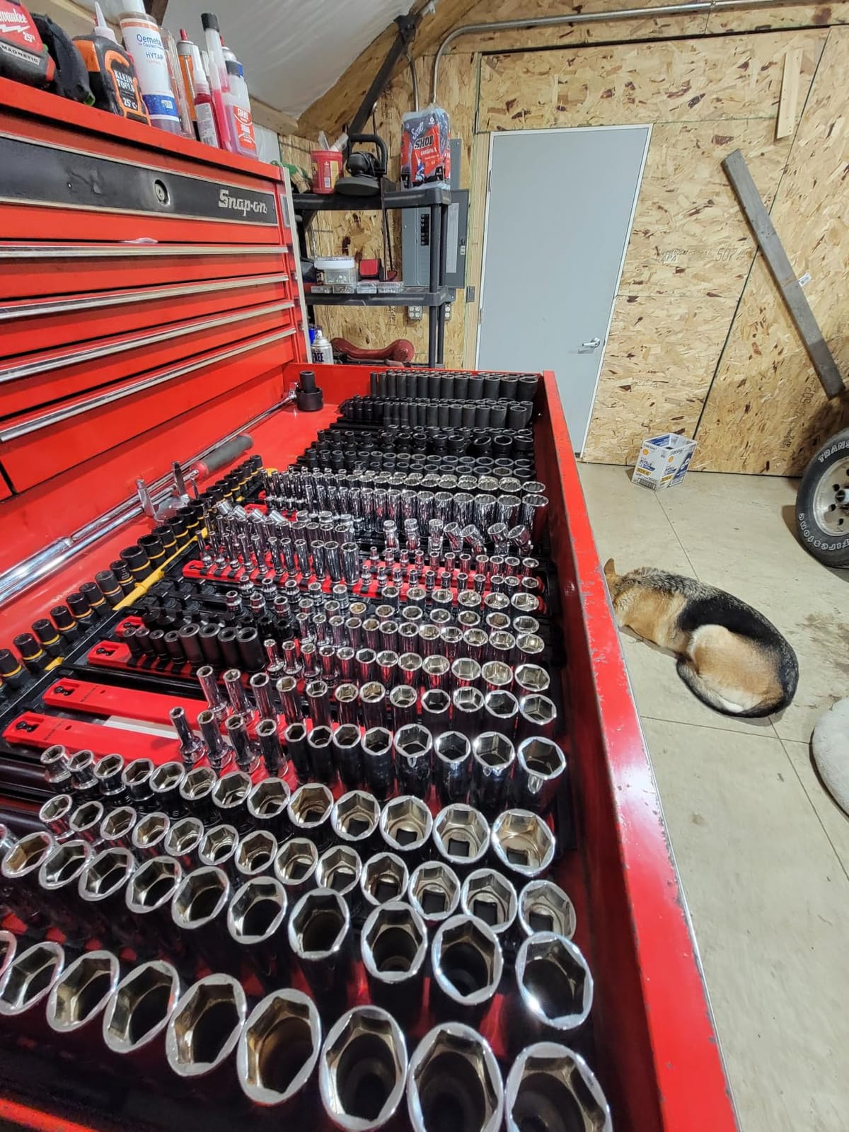 Tekton 3/8 Inch Drive 12-Point Socket Set, 68-Piece | SHD91221 | (1/4 - 1 in., 6 - 24 mm), Shallow and Deep, Socket Rail customer photo 1