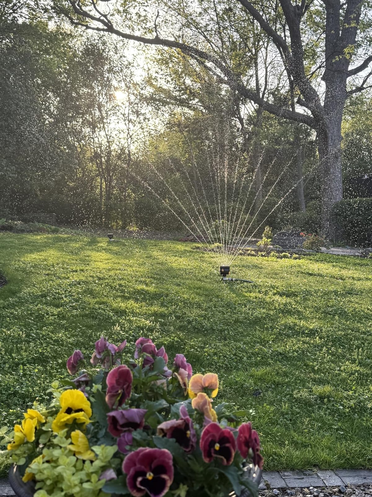 Melnor MiniMax Spike Sprinkler, 4000 Sq Ft: 360°, Flow, Width, Range Adjust customer photo 2
