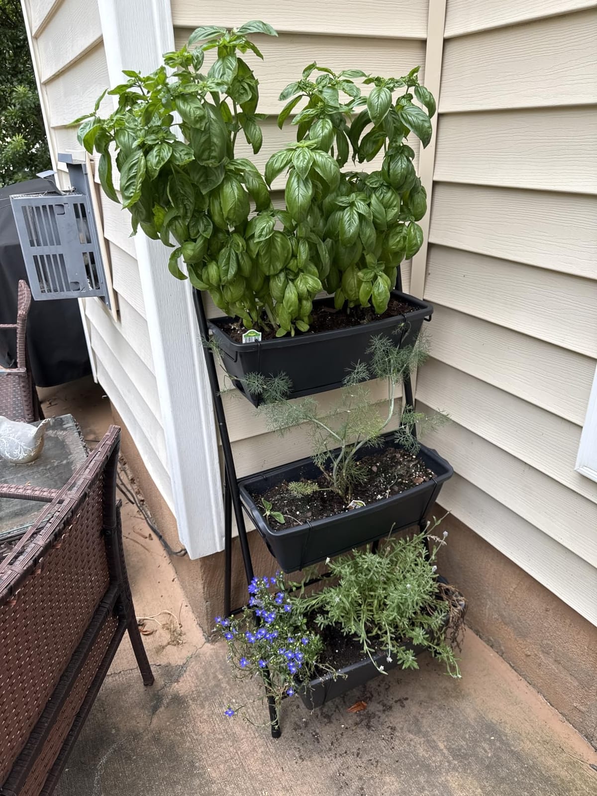 Raised Garden Bed 3 Tier Vertical Garden Planter Elevated Planter Boxes Outdoor Herb Planter with Drainage Holes Removable Tray for Patio Balcony Porch Black customer photo 2
