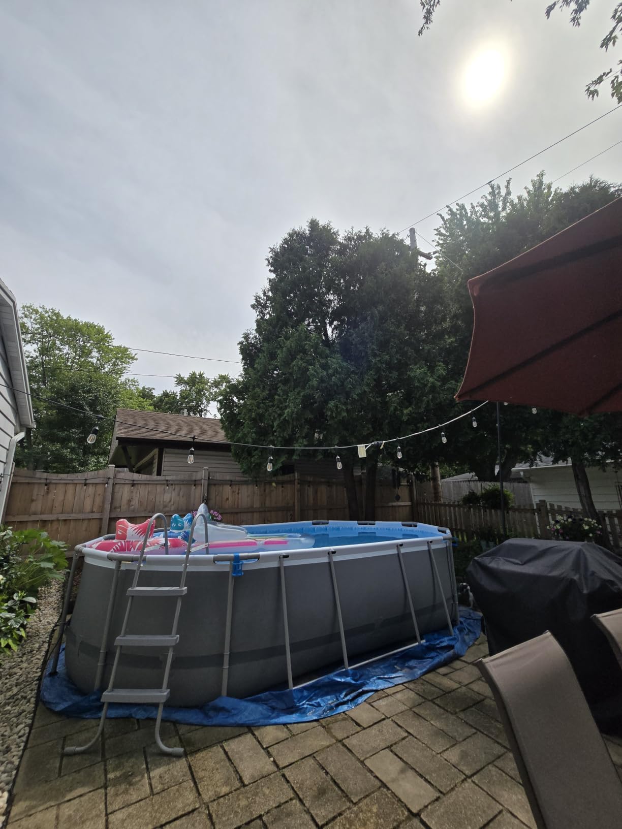 In The Swim 18' Standard Blue Round Solar Pool Cover 8 Mil | For Solar Heating Above Ground Pools and Inground Pools customer photo 1