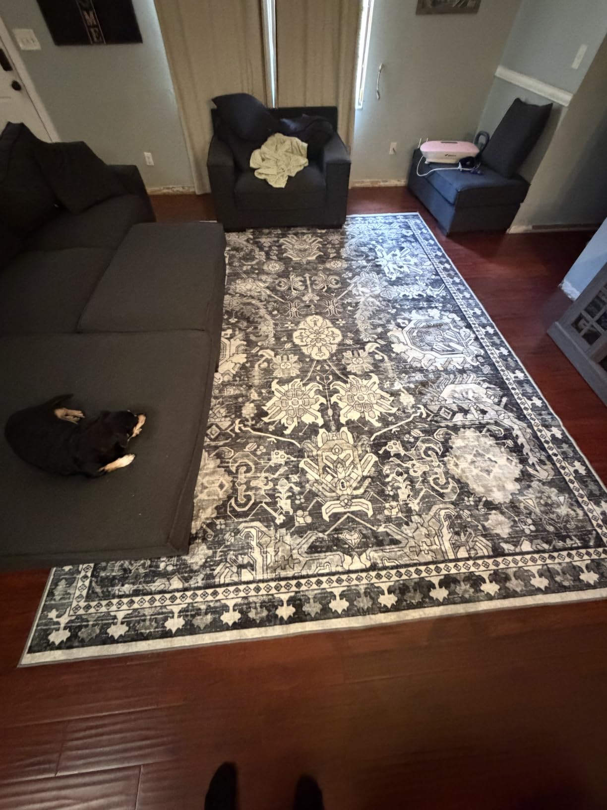 RUGSURE Washable Area Rugs - Perfect for Living Room, Bedroom, Kids Room, Nursery - Stain & Water Resistant Non-Slip, Pet & Child Friendly, Vintage Tribal Area Rugs (Green, 5' x 7') customer photo 2