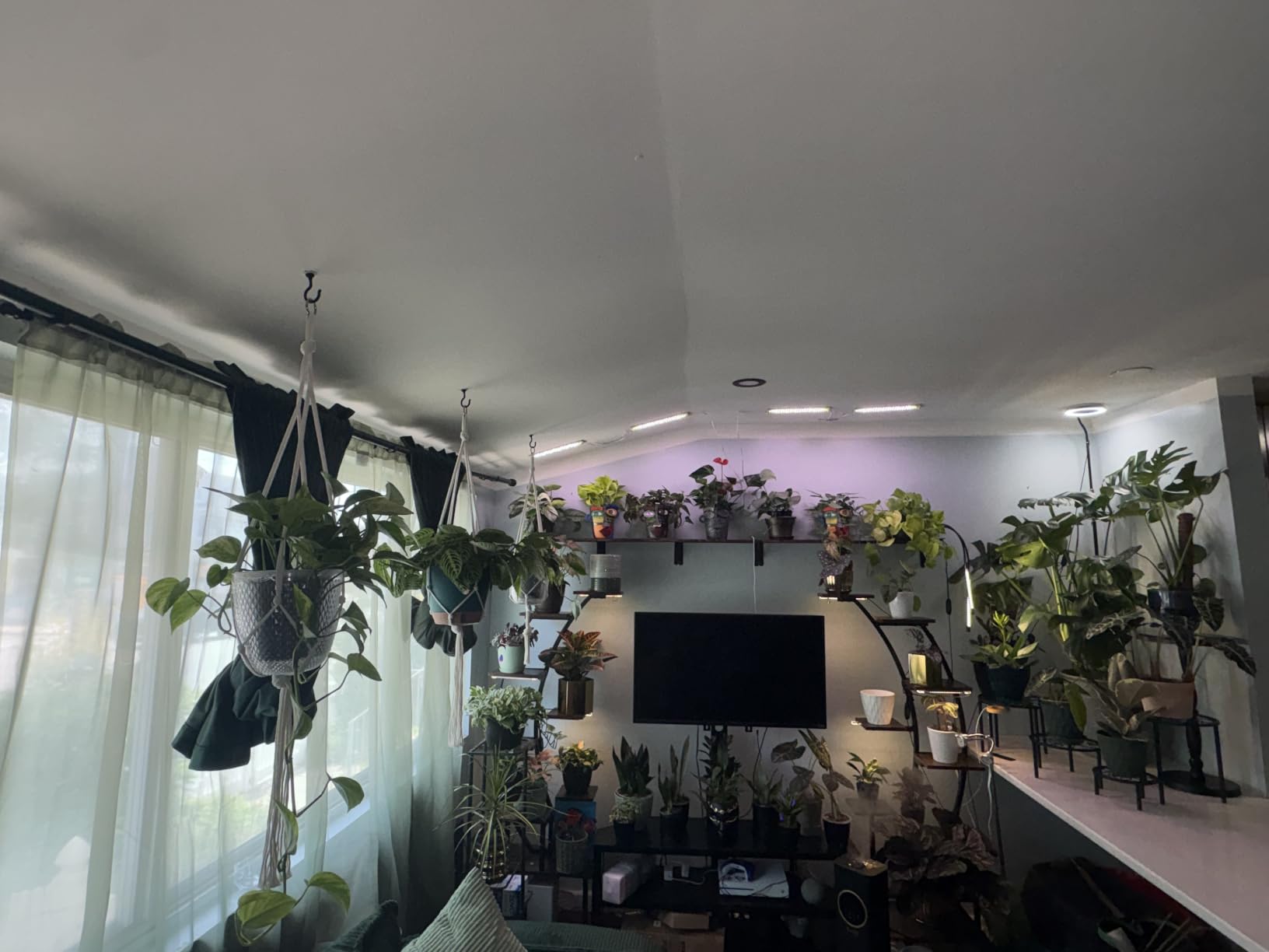 2 Pack Plant Stand Indoor with Grow Lights, 9 Tier Large Tall Plant Shelf customer photo 2