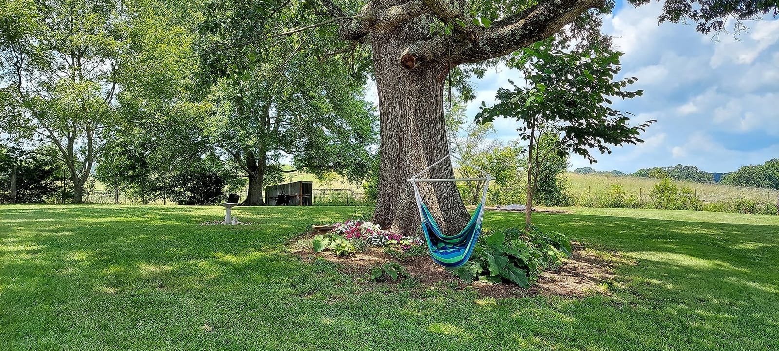 XXL Hammock Chair Hanging Rope Swing with 2 Cushions - Max 500lbs-Perfect for Patio, Porch, Bedroom, Backyard, Indoor or Outdoor - Includes Hanging Hardware Kits customer photo 1