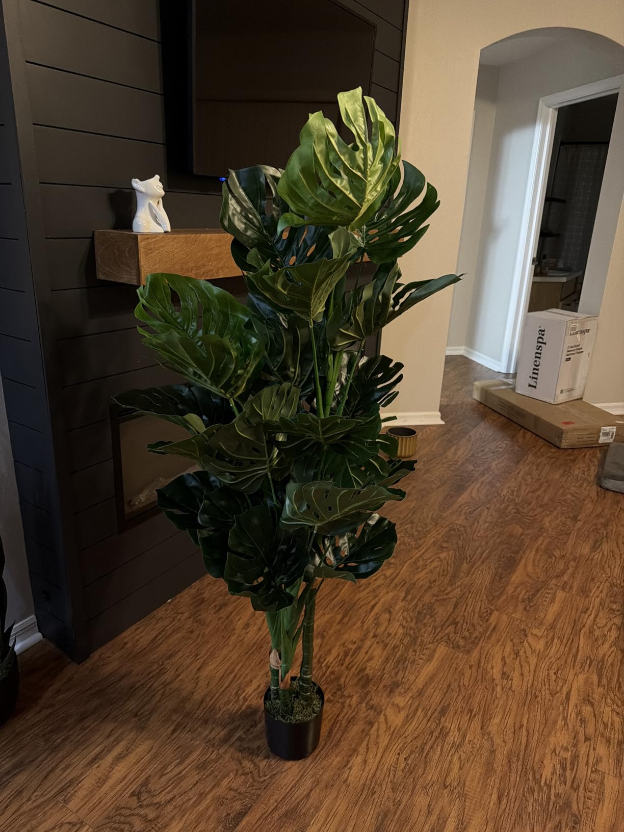 Aveyas 5ft Artificial Palm Tree for Home Decor, 5 Feet Faux Plant Fake Silk Tropical Kentia Areca Trees with Pot for Indoor Outdoor House Living Room Office Porch Garden (5 ft Tall) - Set of 2 Pack customer photo 1