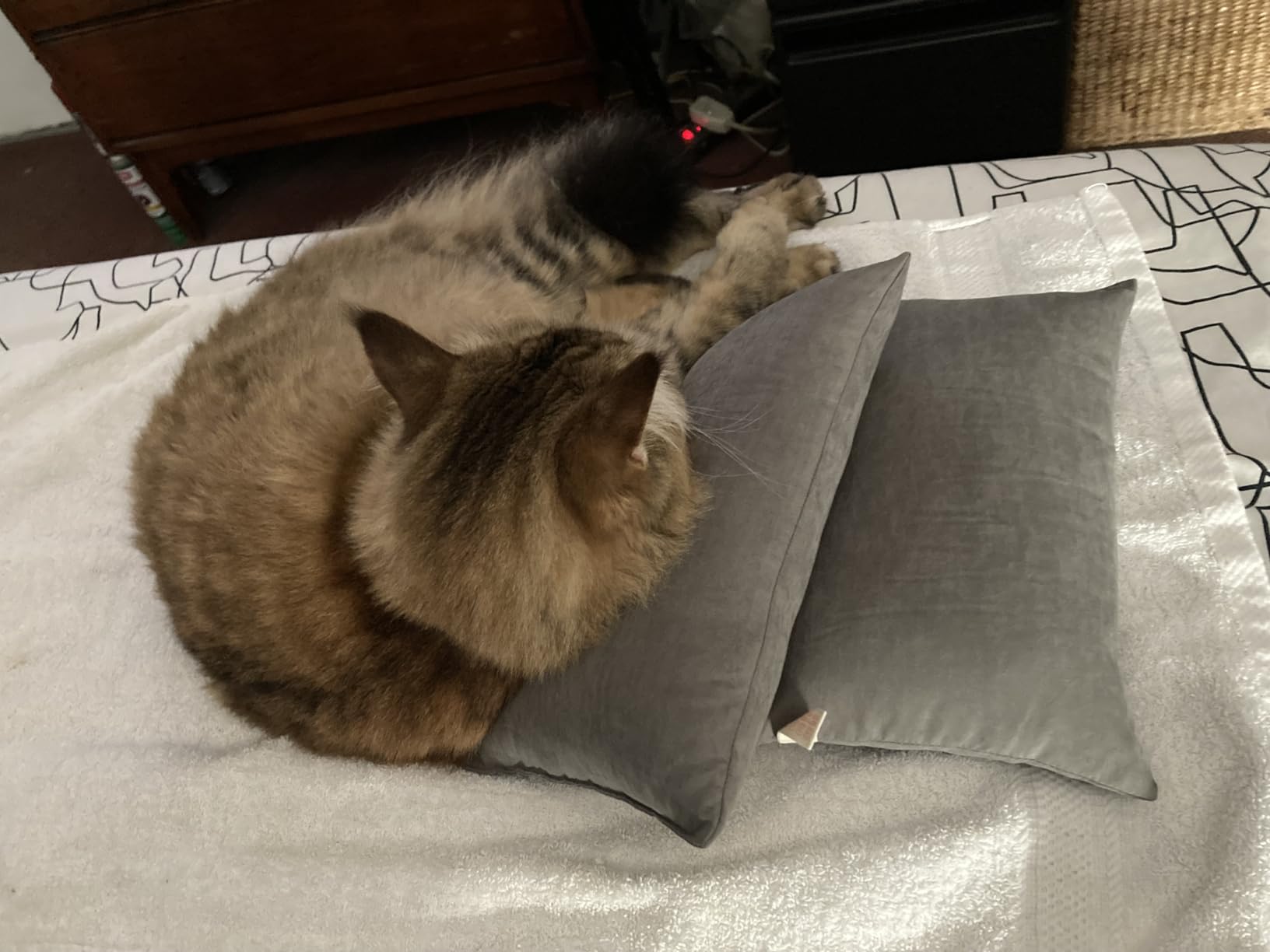 NTBAY Tiny Pillows, Set of 2, 7