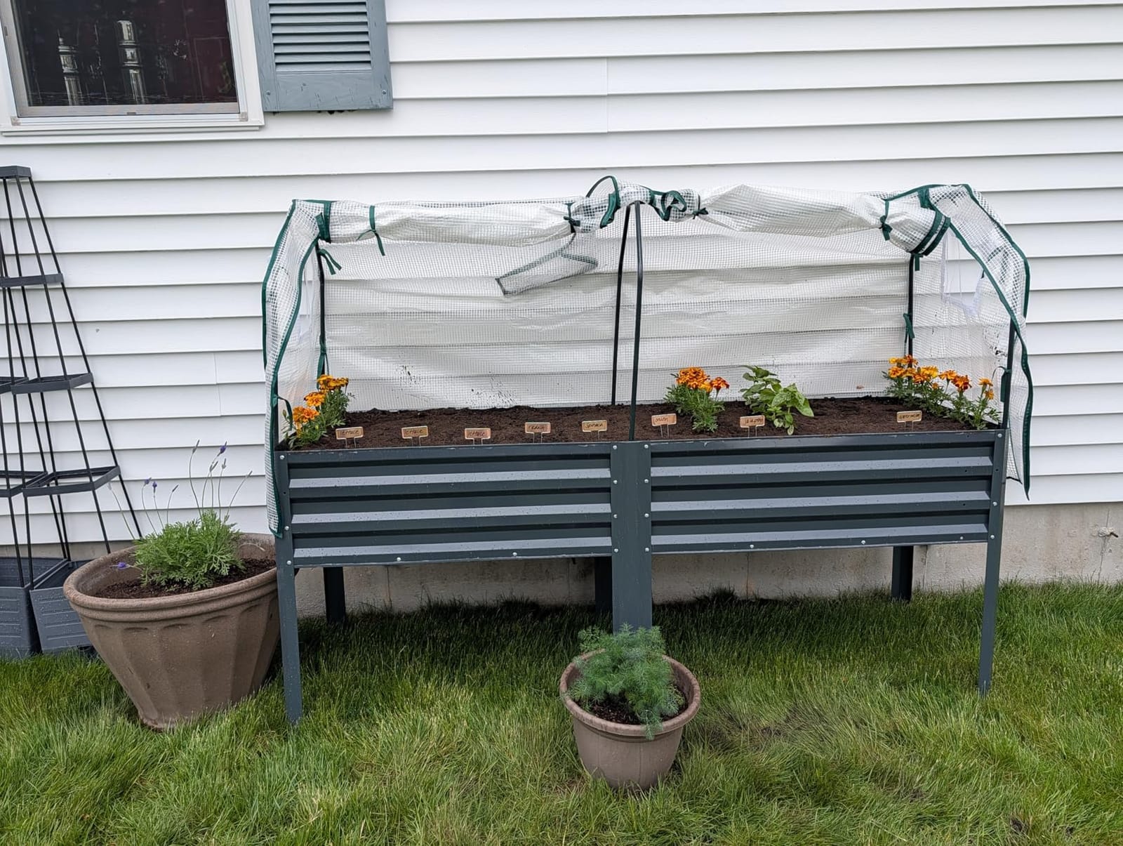 KING BIRD Large Raised Garden Bed with Large & Cover 48×24×56 in customer photo 2