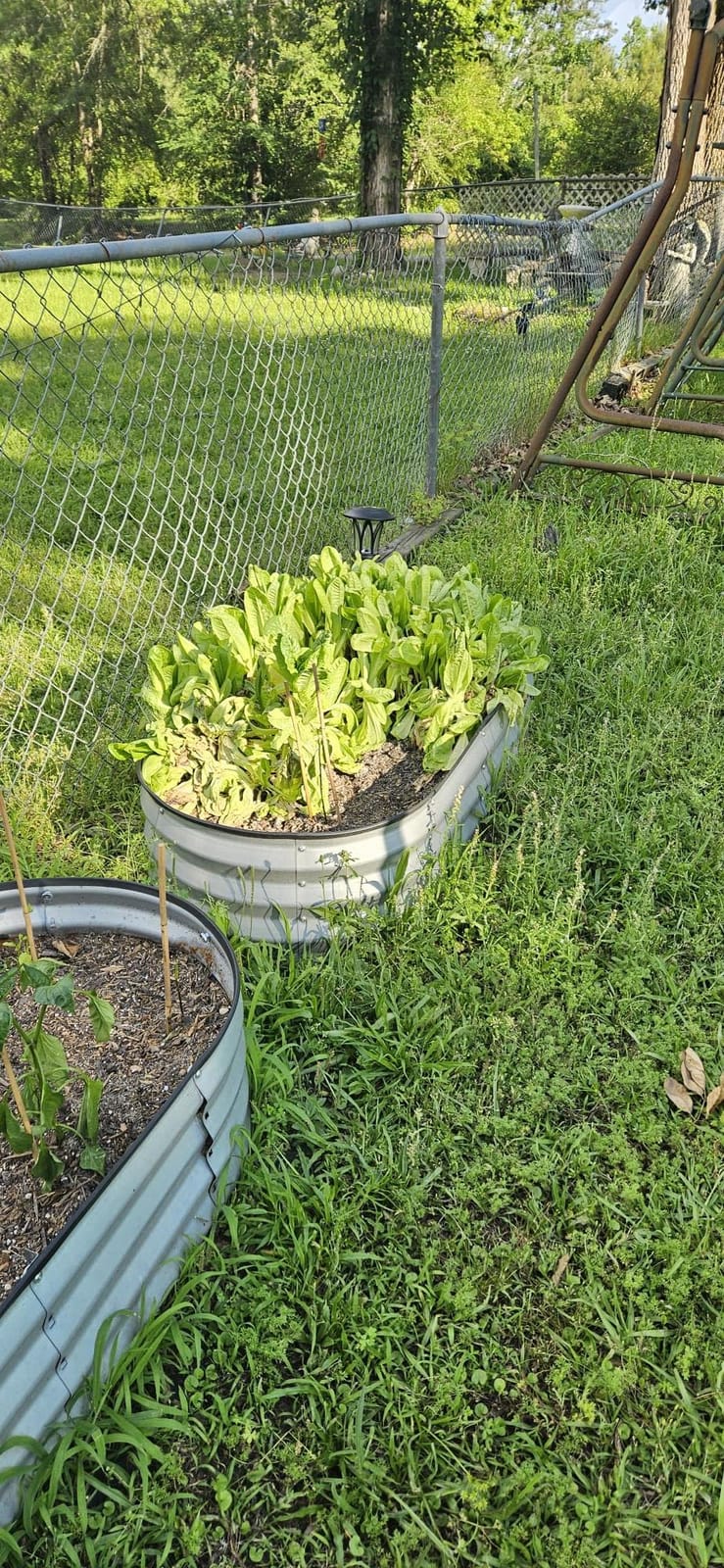 JERIA Raised Garden Bed, Galvanized Raised 2x2x1ft Planter Boxes Outdoor with Easy Assembly, Round Garden Bed for Vegetables, Fruits, Flowers customer photo 2
