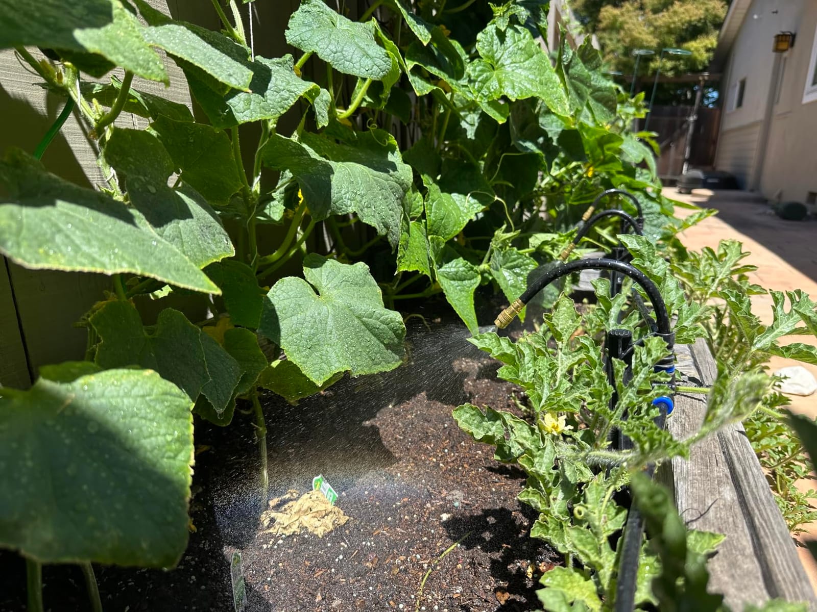 49.21Ft Drip Irrigation Kit System, 360° Bendable Garden Irrigation System customer photo 1