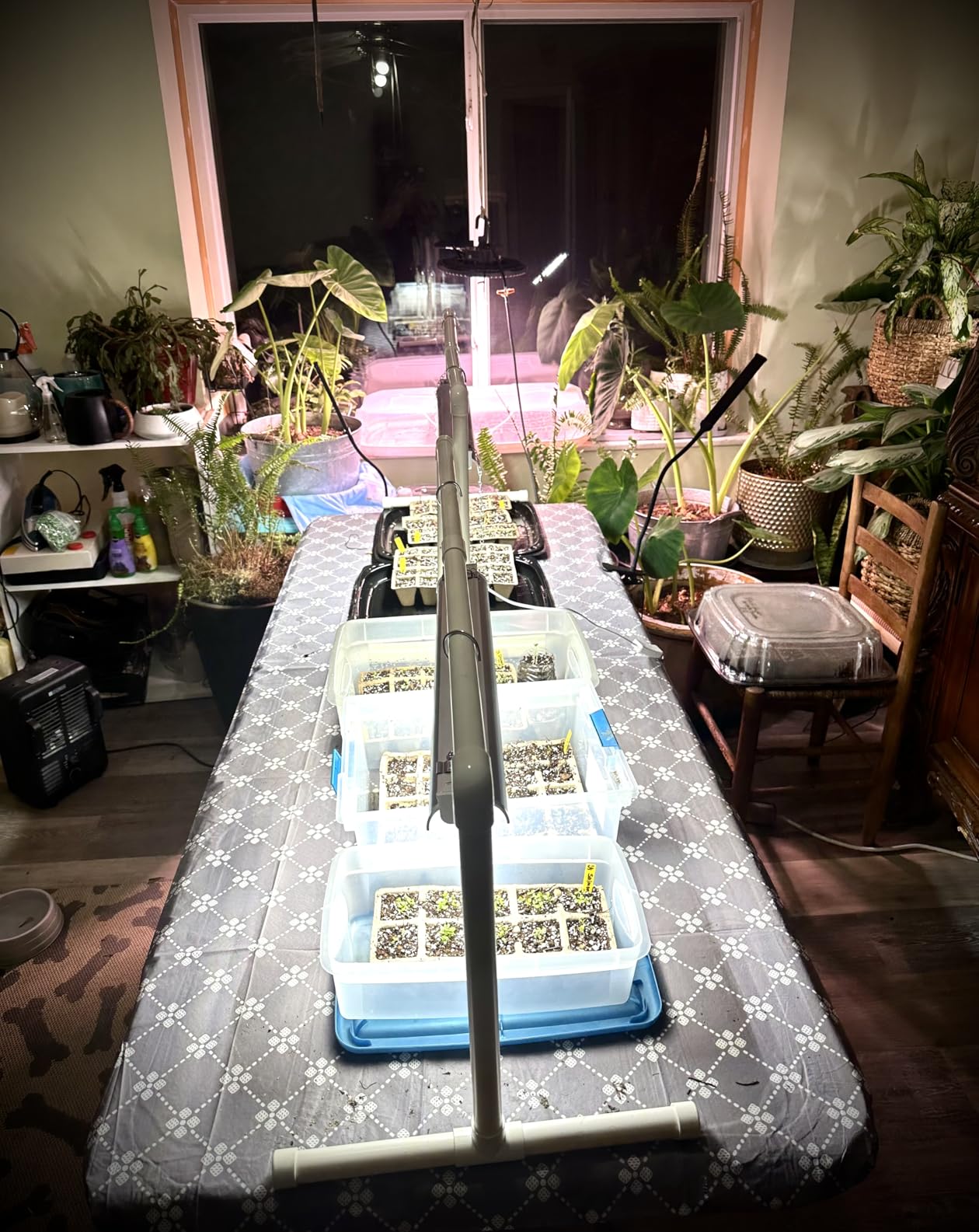 Wolezek 2FT T5 Grow Lights for Seed Starting, 32W Full Spectrum | Seedlings Grow Light Kit Indoor, 144 LEDs High Output Hanging Plant Light, Height-Adjustable Chain, PVC Stand, Easy Assembly customer photo 1