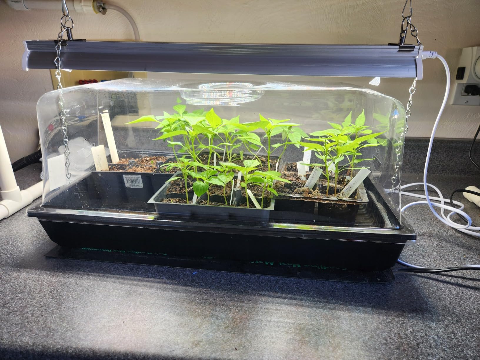 Wolezek 2FT T5 Grow Lights for Seed Starting, 32W Full Spectrum | Seedlings Grow Light Kit Indoor, 144 LEDs High Output Hanging Plant Light, Height-Adjustable Chain, PVC Stand, Easy Assembly customer photo 2