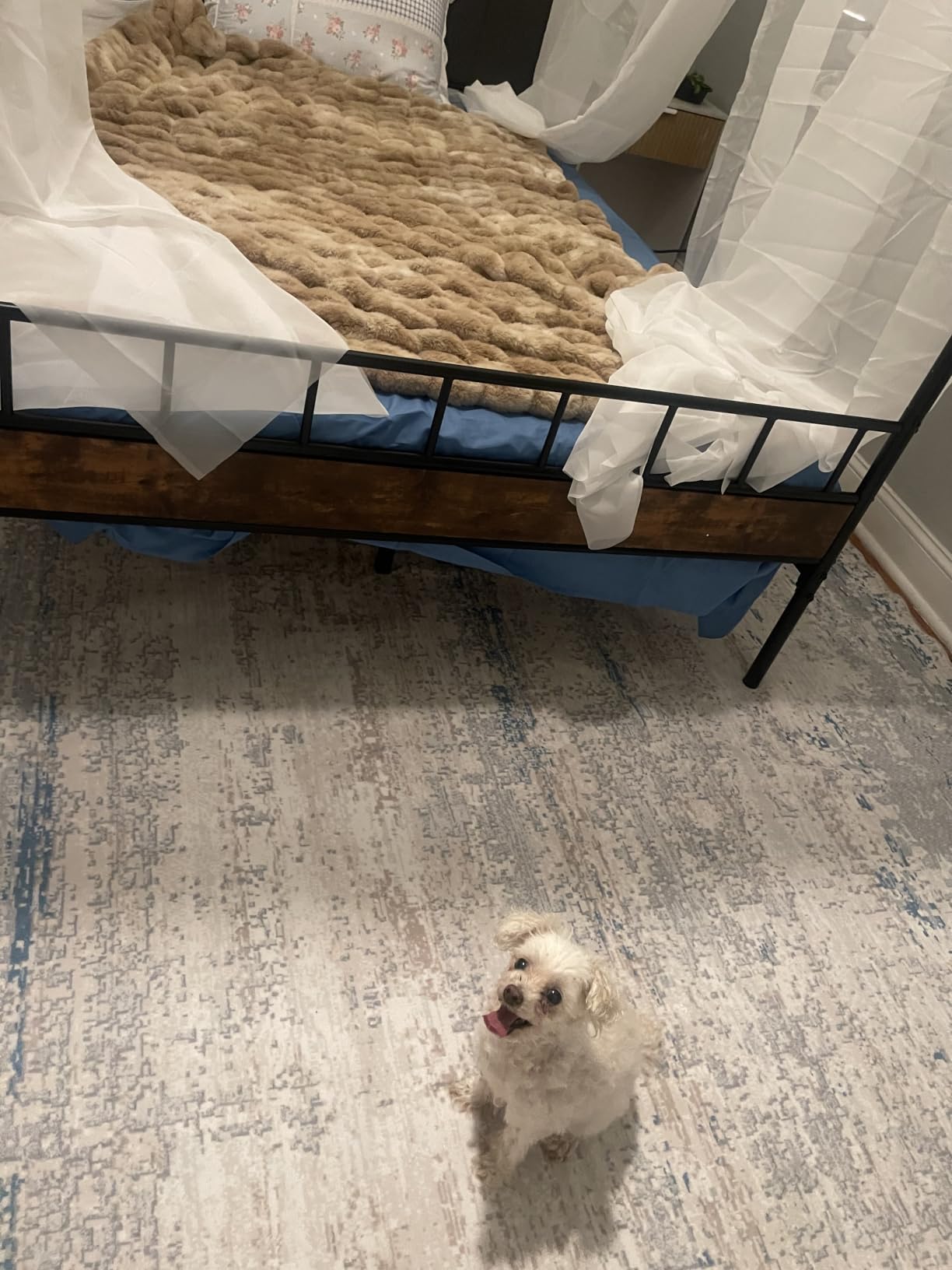 LIKIMIO Canopy Bed Frame Full, Storage Headboard with Charging Station, Platform Bed with 4 Removable Sturdy Posts, Noise Free, No Box Spring Needed, Vintage Brown customer photo 2