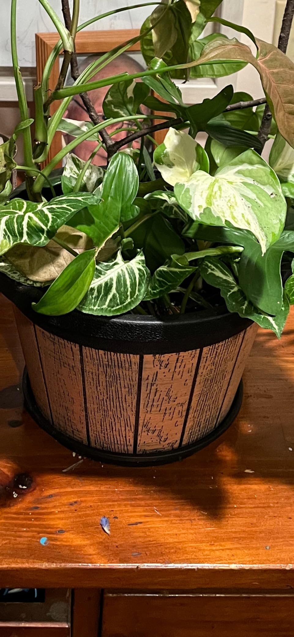 Quarut 4 Pack 10 inch Plant Pots, Whiskey Barrel Planters for Indoor Outdoor | Plastic Decoration Flower Pots with Drainage Holes & Saucer Retro Design Planters for Garden Home Plants (Brown) customer photo 2