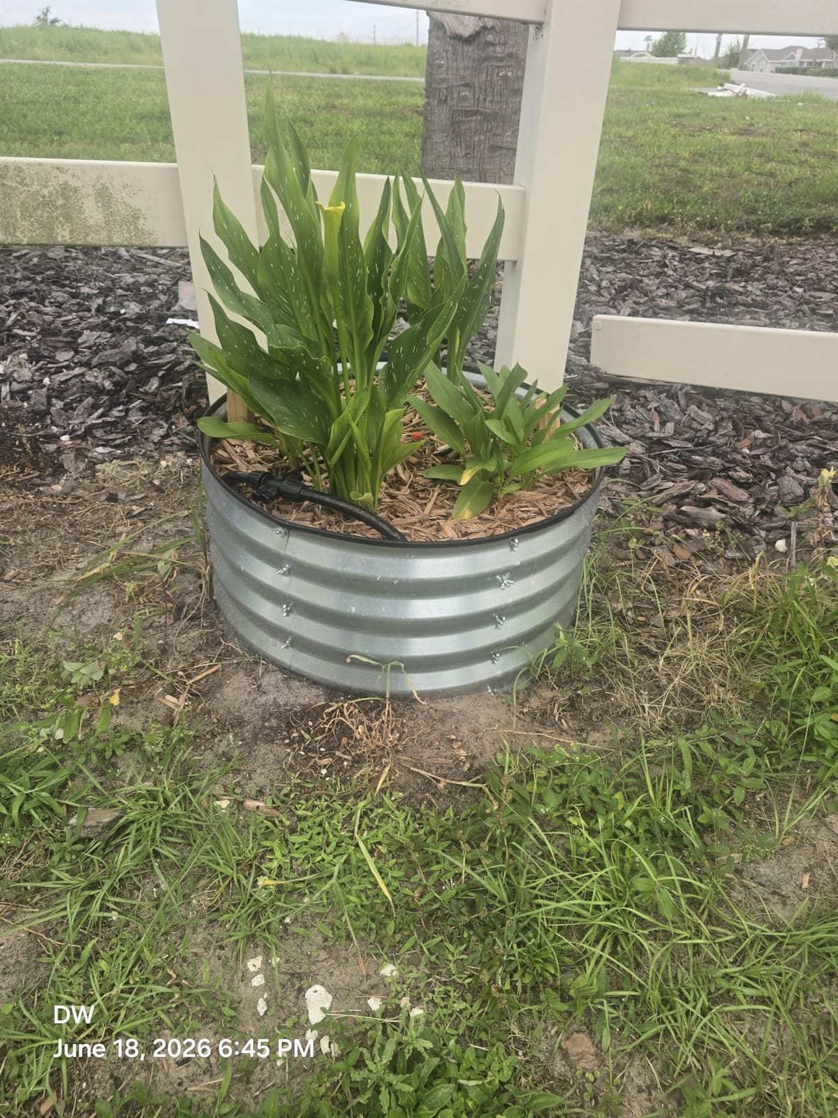 Utopia Home Galvanized Raised Garden Bed Kit 2x2x1 Ft Pack of 2, Planter Box Round Raised Garden Beds Outdoor, Easy Assembly Metal Raised Bed for Gardening Vegetables, Fruits, Flowers, Silver customer photo 2