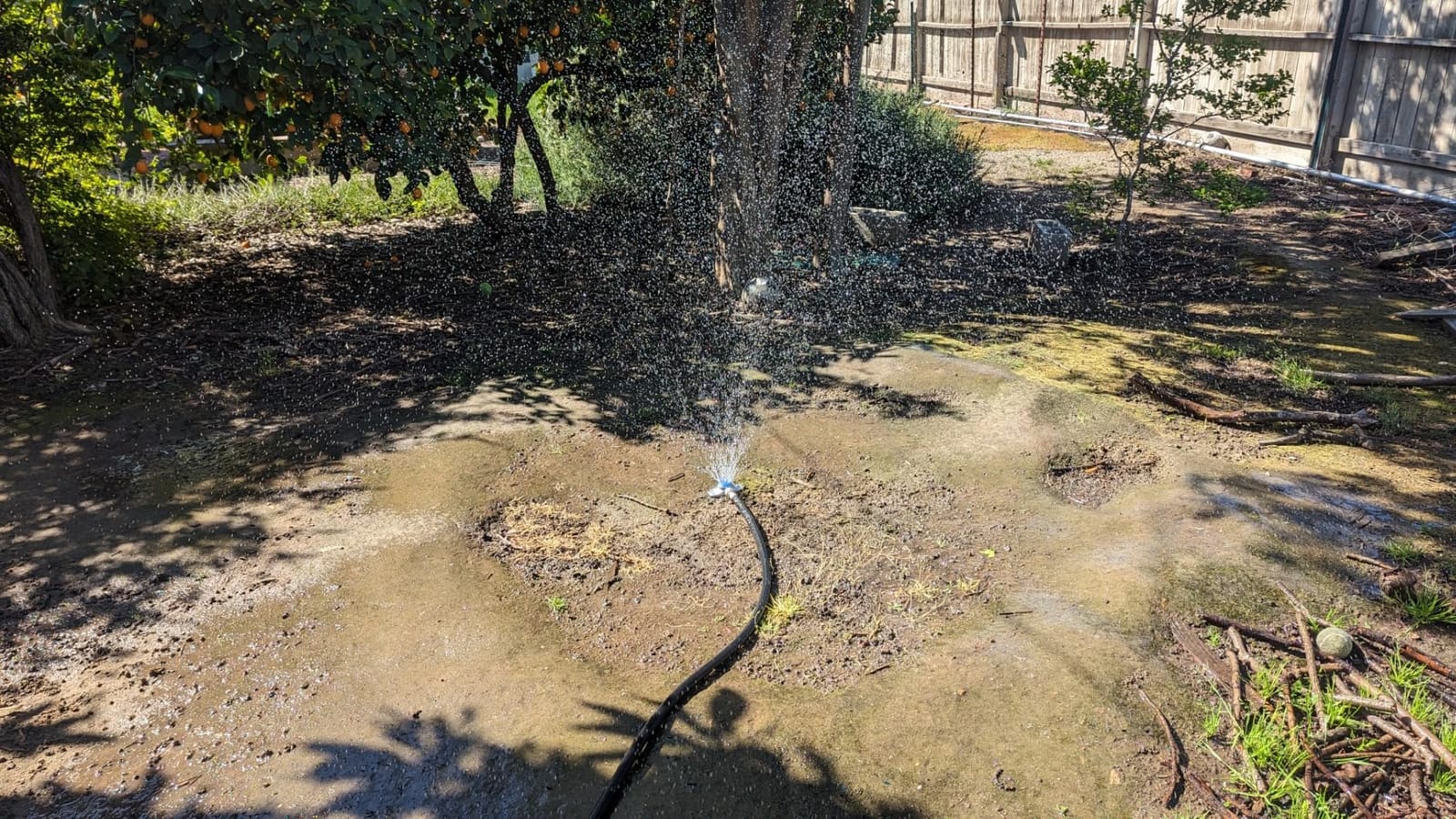Chapin 6-9488: Square Pattern Spot Sprinkler 2 Pack, 360 Degree Sprinkler Head for Small Gardens and Lawns, Up to 30-Feet Coverage Area, Lawn Sprinkler, Small Area Yards and Garden Watering customer photo 1