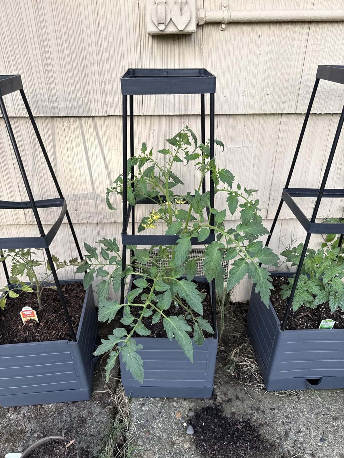 MQFORU 2 Packs Raised Garden Bed Tomato Planter with Trellis, 57