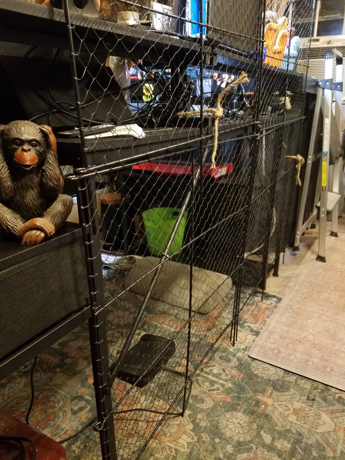 6 Panels Raised Garden Bed Animal Barrier Fence | 14.25ft(L) x 24in(H) Chicken Wire Crop Cage Plant Protector, Keep Squirrel Rabbit Chipmunk Out, Vegetable Garden Fencing customer photo 1