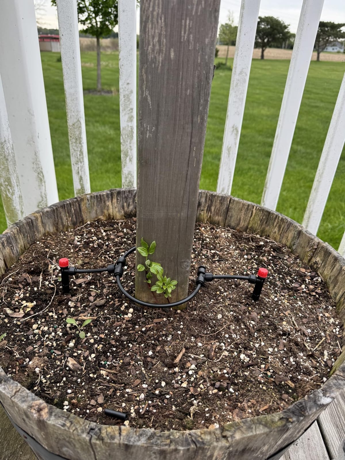 Drip Irrigation Kit for Garden, Quick-Connect Plant Watering System 150FT | Raised Bed Drip Line Kit, Greenhouse Accessories, DIY Micro Sprinklers Set for Yard Outside, Sistema De Riego Por Goteo customer photo 1