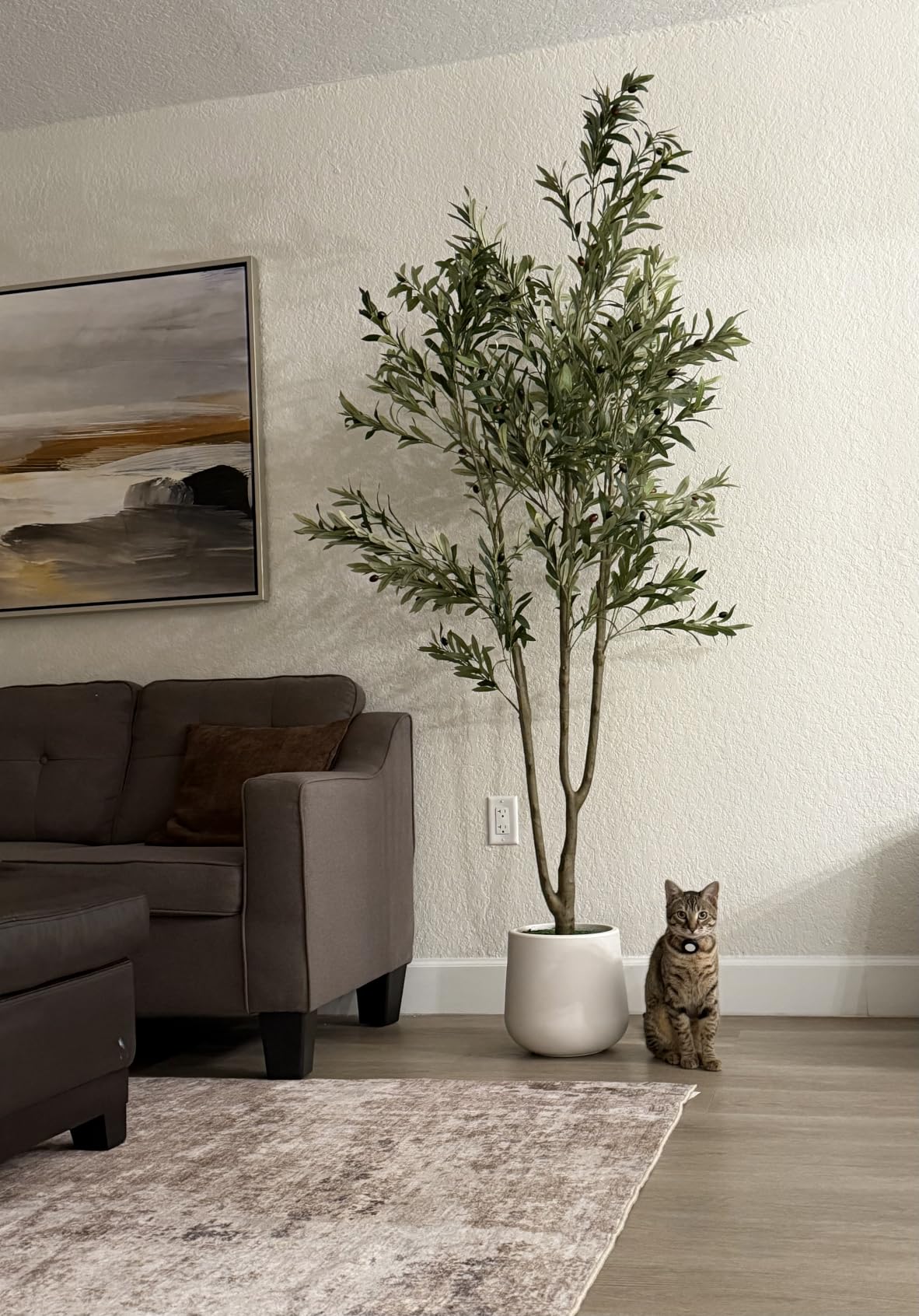 VIVATREES Olive Trees Artificial Indoor, 5FT Tall Faux Olive Tree with White Tall Planter, Artificial Plants with Natural Wood Trunk and Lifelike Fruits for Home Office Decor customer photo 2