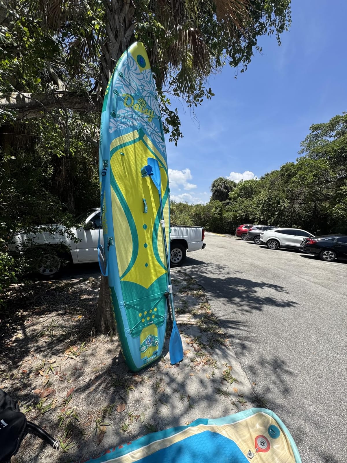 iTAOSTAR Daisy-Blossom as Daisy, 11'6 × 35, Paddle Board w/All Accessories customer photo 2