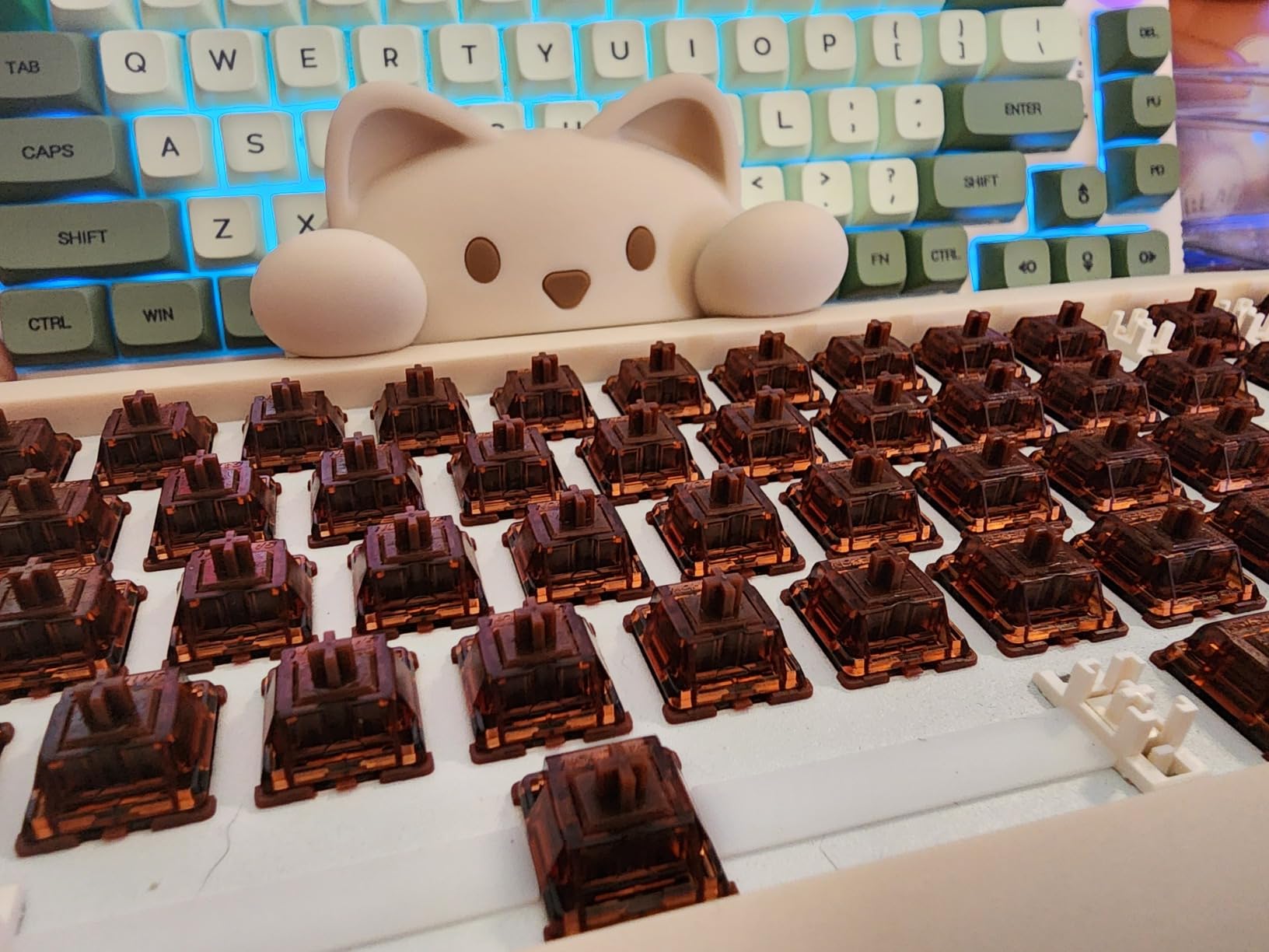 GATERON Phantom Keyboard Switches(Brown, 110PCS) customer photo 1