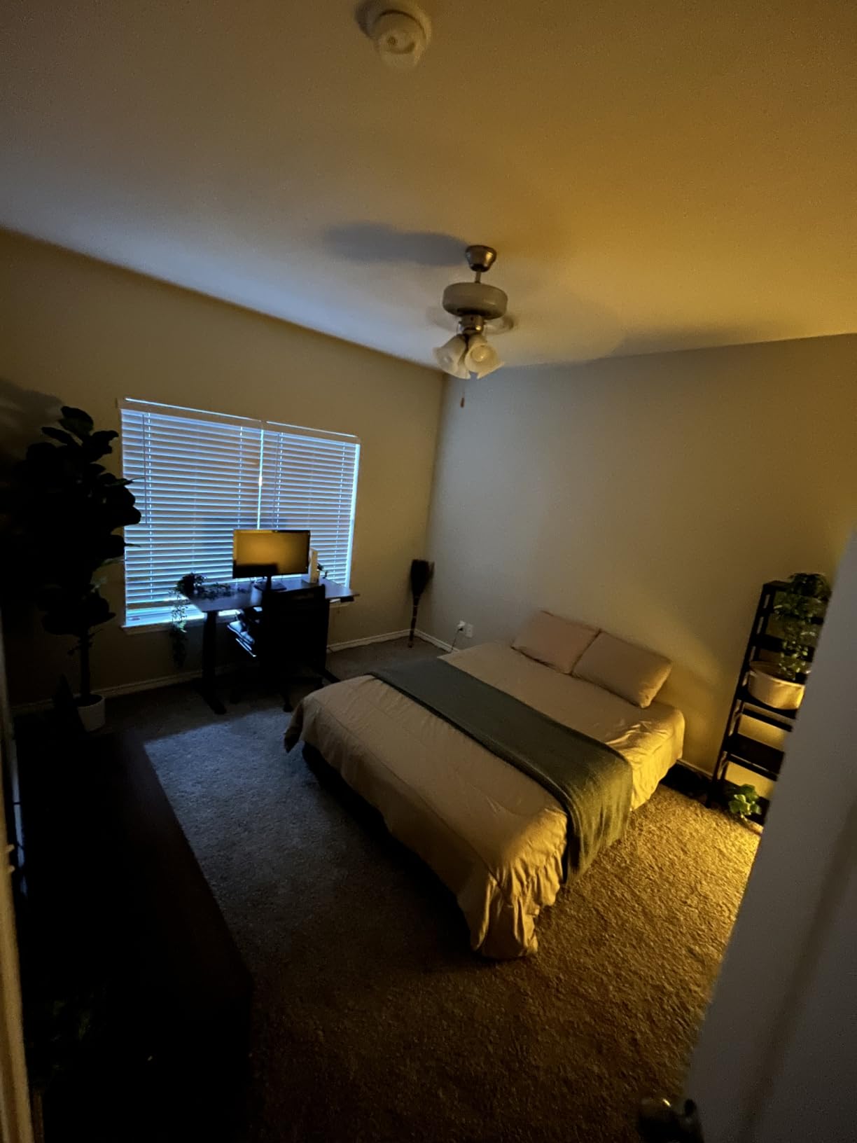Noguchi Style Akari Floor Lamp, Rice Paper Lantern for Establishing A Warm and Cozy Ambiance in Any Room (Cloud), Japanses Floor Lamp customer photo 1