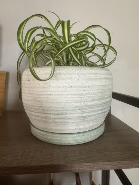SQOWL Ceramic Planter 8 Inch - Pot for Indoor Outdoor Plants Round Ceramic Plant Pot with Drainage Hole and Saucer Modern Flower Pot Glazed Blue customer photo 2