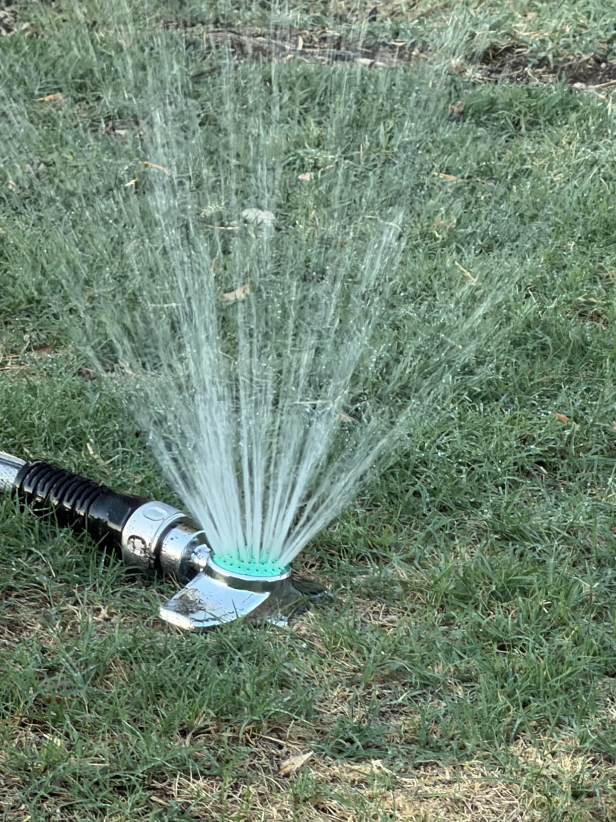 Metal Spot Sprinkler, Lawn Sprinkler for Yard, 1 Pack | with Gentle Water Flow for Small Area-Coverage Up to 30FT, Watering Sprinkler Head for Hose customer photo 1