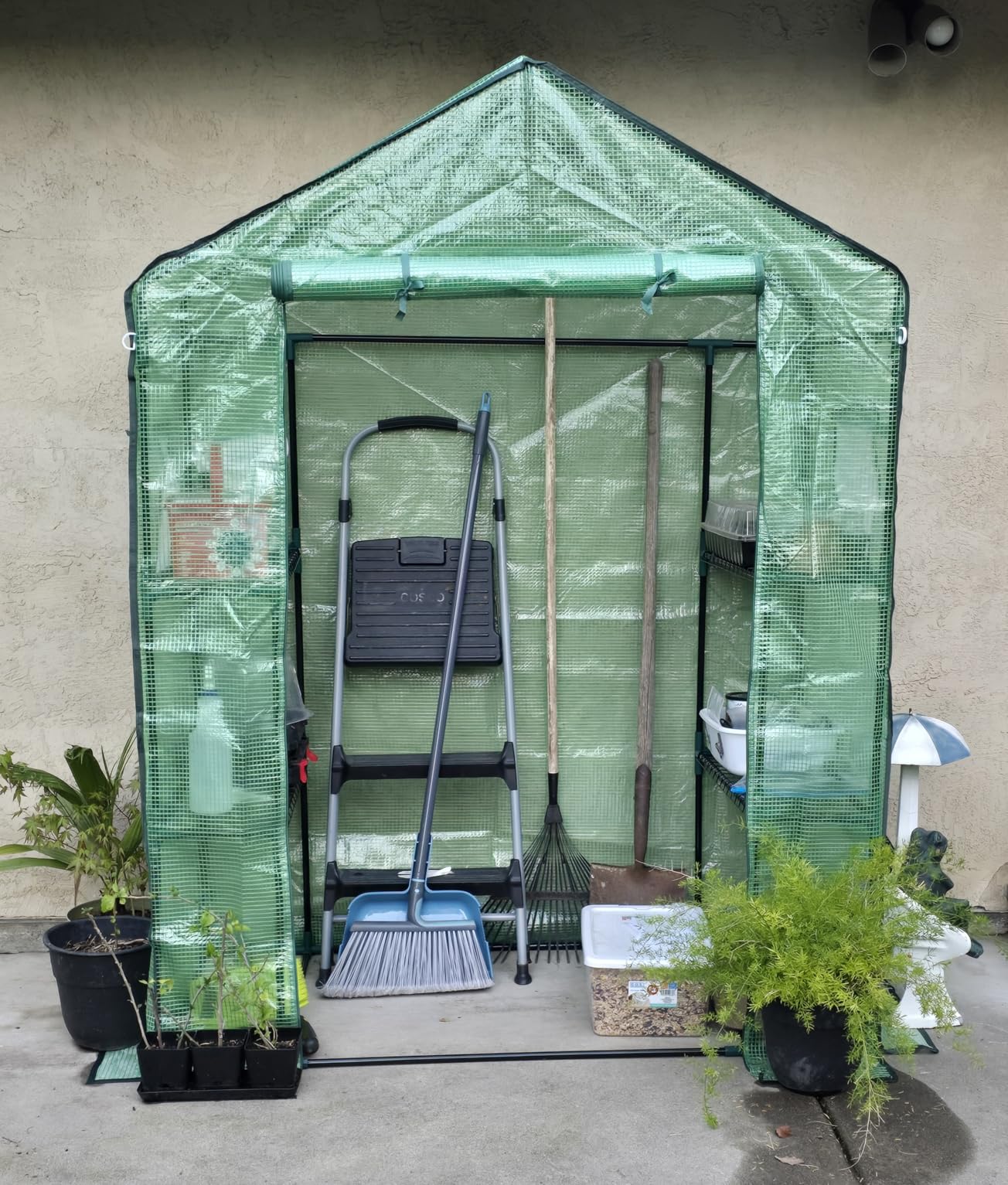 Greengro Greenhouse, 28 x 57 x 76'' Walk in Greenhouses for Outdoors Indoor | Small Plant Green House with Screen Windows, 3 Tiers 4 Shelves, Durable PE Cover, Portable for Outside Garden Patio Backyard customer photo 1