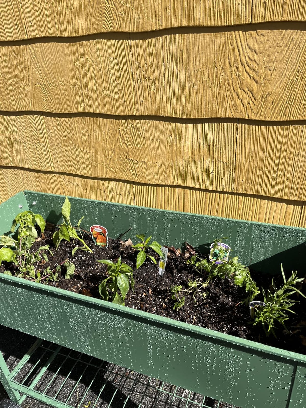 Raised Garden Bed with Legs and Wheels, Metal Outdoor, Green customer photo 2