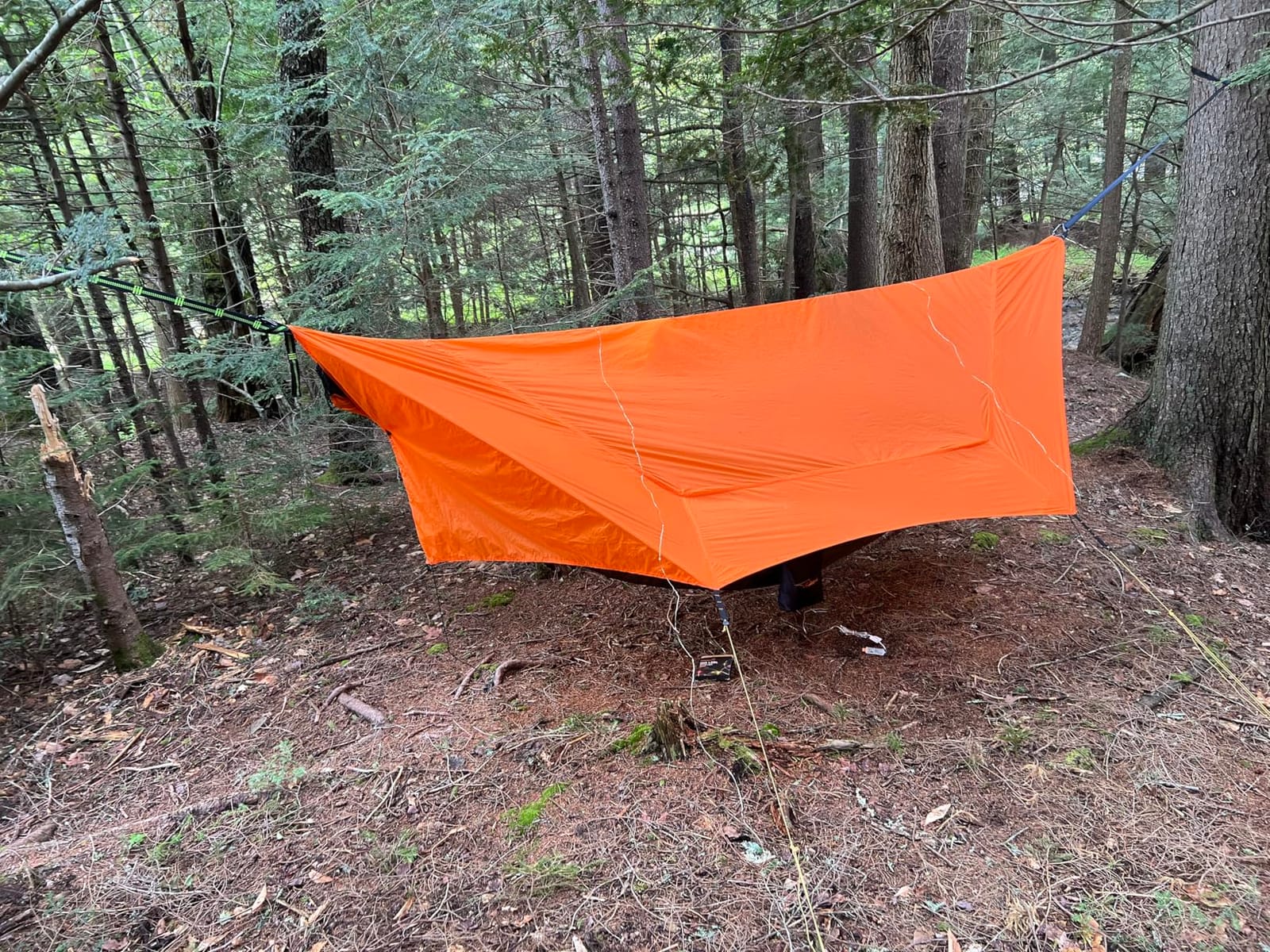 SkyNest 11ft Camping Hammock with Net and Rain Fly, 4-in-1 Double Tent | 440 lb Capacity, 3.3 lb Ultralight, 20D Ripstop Nylon, PU3000mm Rain Fly UPF50+, Double-Layer, Ridge Rope, Ground Tent Mode customer photo 1