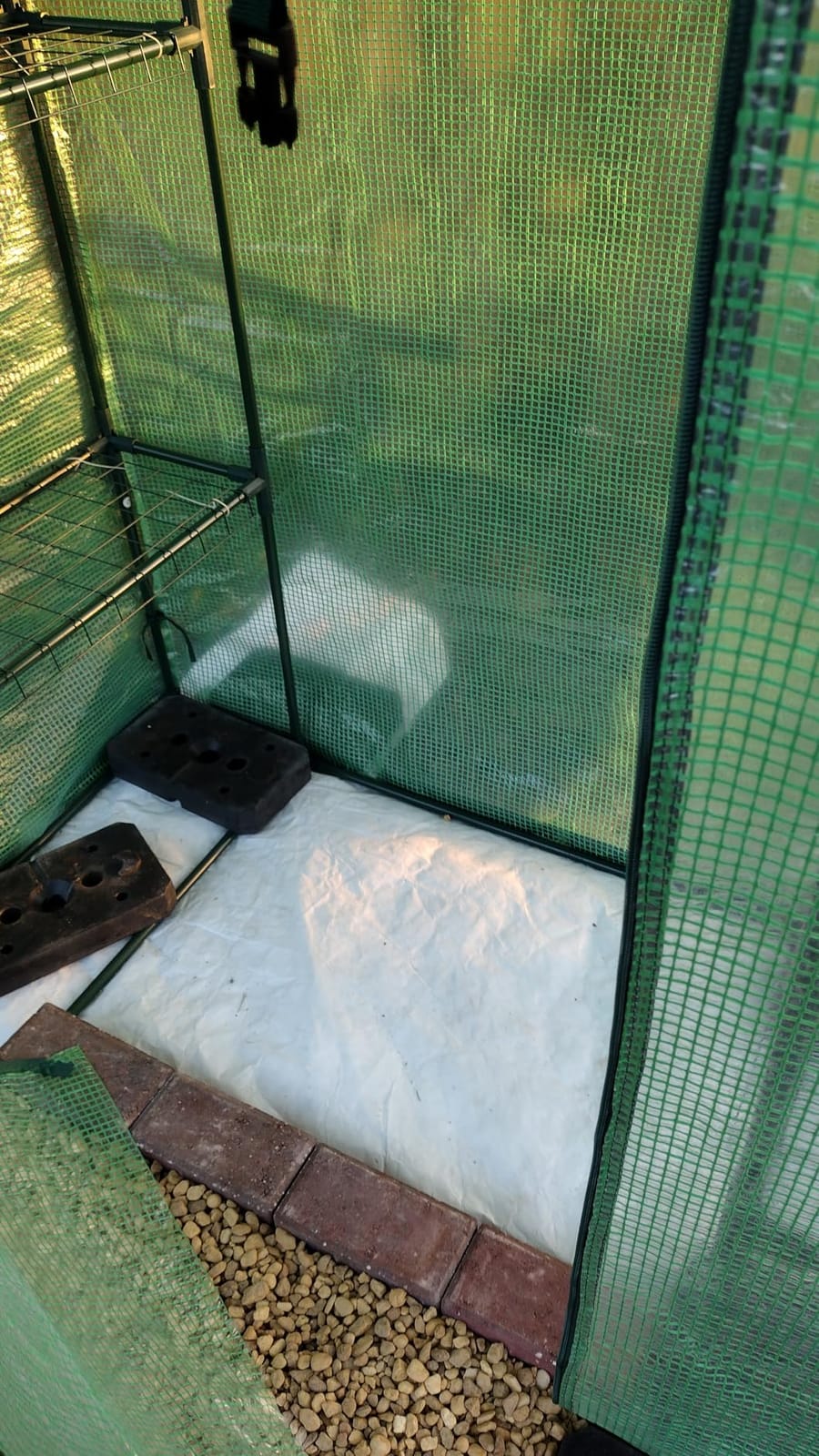 VEVOR Walk-in Tunnel Greenhouse, 11.3x6.4x6.3 ft Hoop House Greenhouse Tunnel, Plant Hot House with Galvanized Steel Frame, Green PE Cover, Roll-up Zipper Door and 6 Windows for Outdoor customer photo 1
