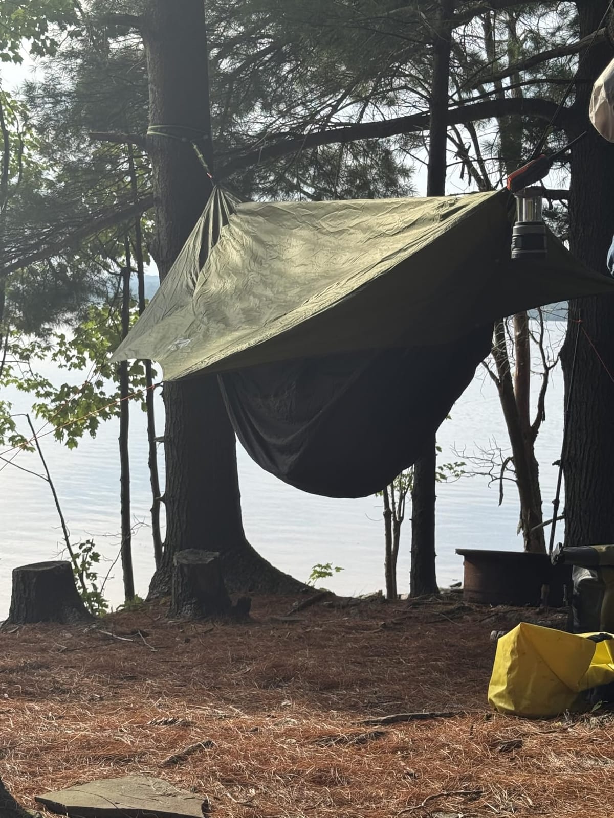 Night Cat Camping Hammock Tent: Lightweight Portable 4 in 1 Hammock with Rain Tarp and Mosquito Net for Hiking Jungle Outdoor customer photo 1