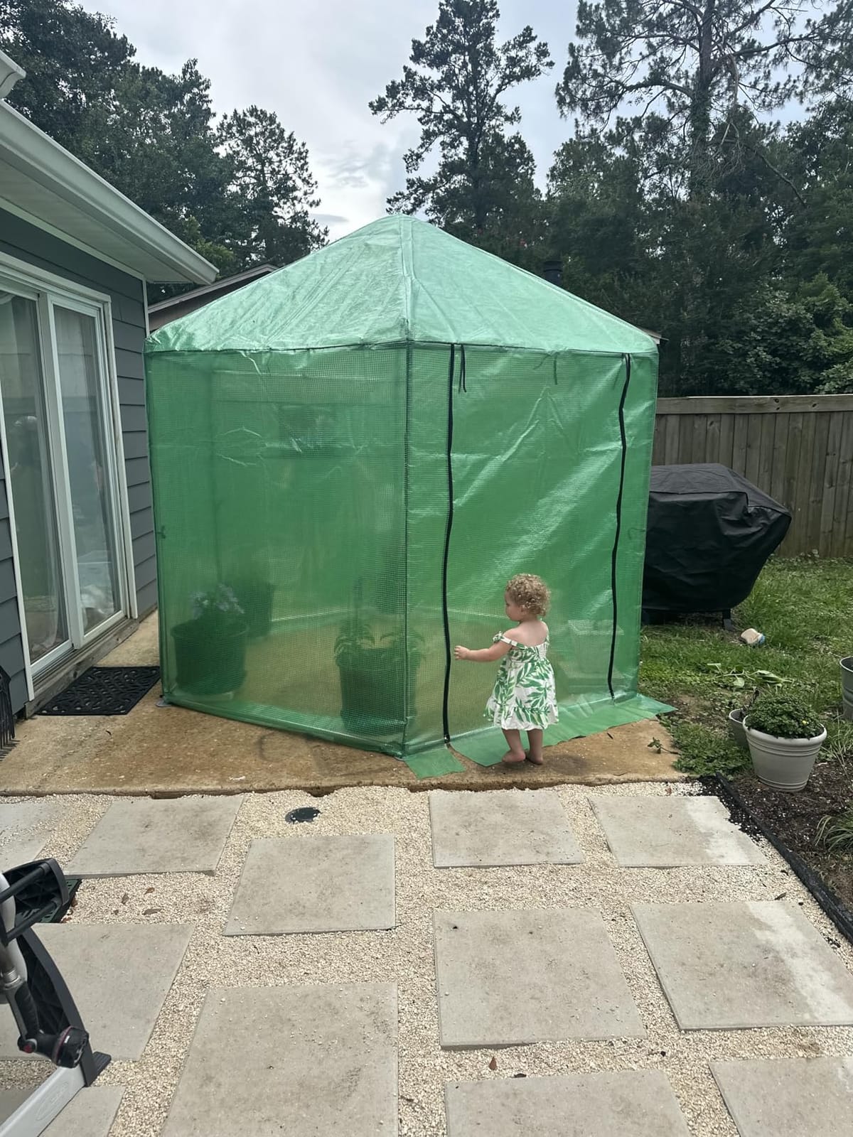 MU 7x7x7.6 FT Greenhouses for Outdoors, Heavy-Duty Green House for Outside, Walk in Winter Greenhouse with 180g Double Layer PE Cover, Ground Stakes, Great for Garden/Patio/Backyard customer photo 1