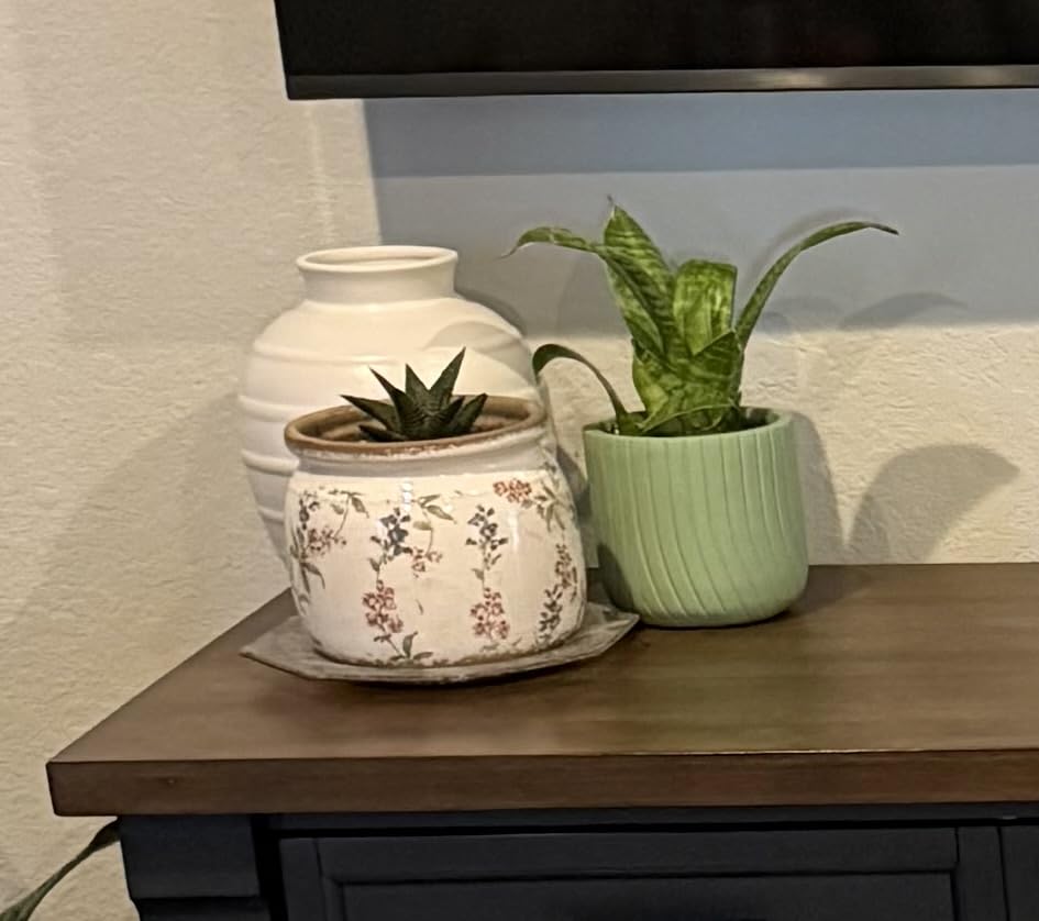 Xiaan Jiaju Flower Pots, Vintage Antique Ceramic Planters for Indoor Plants | 6.29