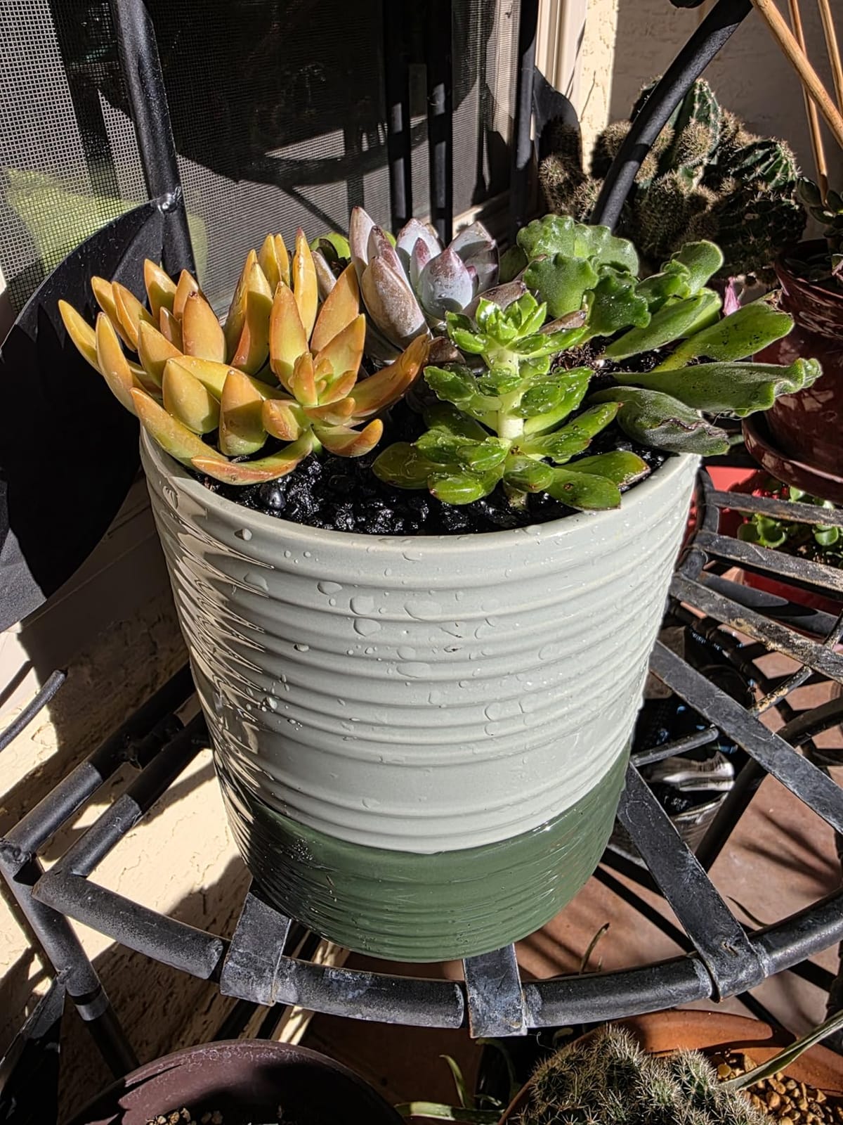 Fayoula Self Watering Pots for Indoor Plants, 6 Inch Ceramic Self Watering Plant Pot, Planter Pot with Wick Rope and Drainage Hole for African Violet Succulent Herbs (Green Light) customer photo 1
