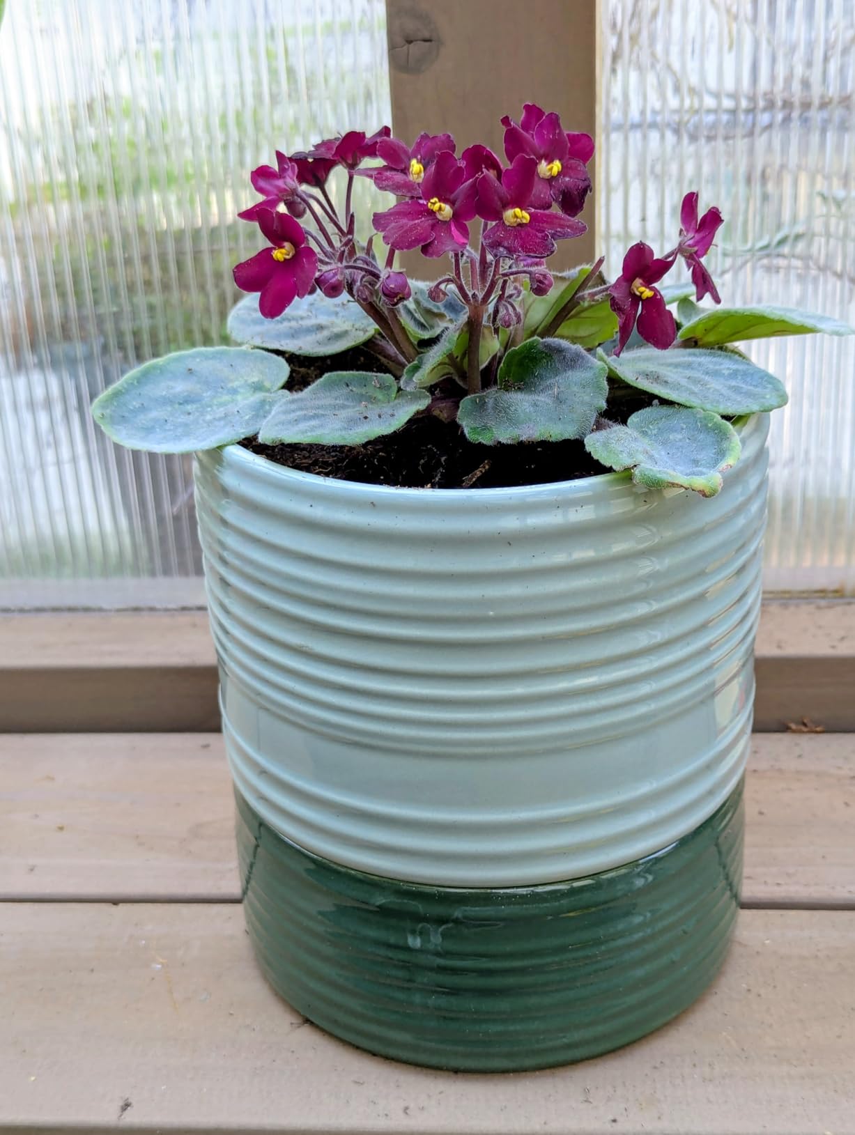 Fayoula Self Watering Pots for Indoor Plants, 6 Inch Ceramic Self Watering Plant Pot, Planter Pot with Wick Rope and Drainage Hole for African Violet Succulent Herbs (Green Light) customer photo 2