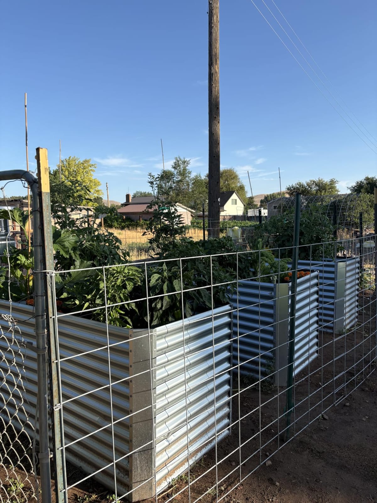 Land Guard 8x4x3ft Rectangular Galvanized Raised Garden Beds, Large-Capacity Metal Planter Box Outdoor, Durable Deep Raised Garden Bed 3ft Tall, Raised Beds for Gardening Vegetables, Classic Silver customer photo 2