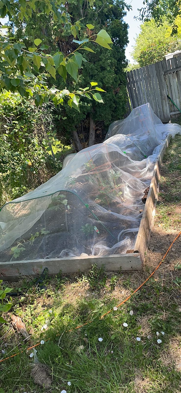 Garden Mesh Netting Kit, Plant Covers 10x30Ft Ultra Fine Mesh Netting & 6Pcs Garden Hoops &18 Clip, Garden Netting Kit for Raised Beds Plants Pest Barrier Greenhouse Row Cover Animal Protection Net customer photo 1