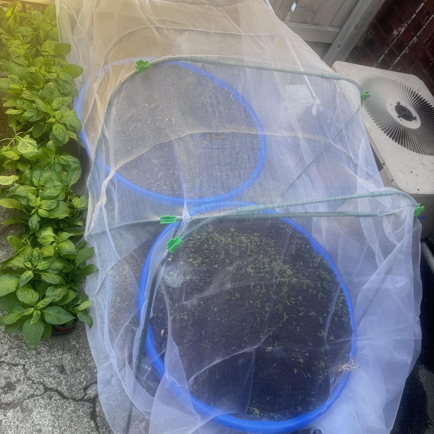 Garden Mesh Netting Kit, Plant Covers 10x30Ft Ultra Fine Mesh Netting & 6Pcs Garden Hoops &18 Clip, Garden Netting Kit for Raised Beds Plants Pest Barrier Greenhouse Row Cover Animal Protection Net customer photo 2
